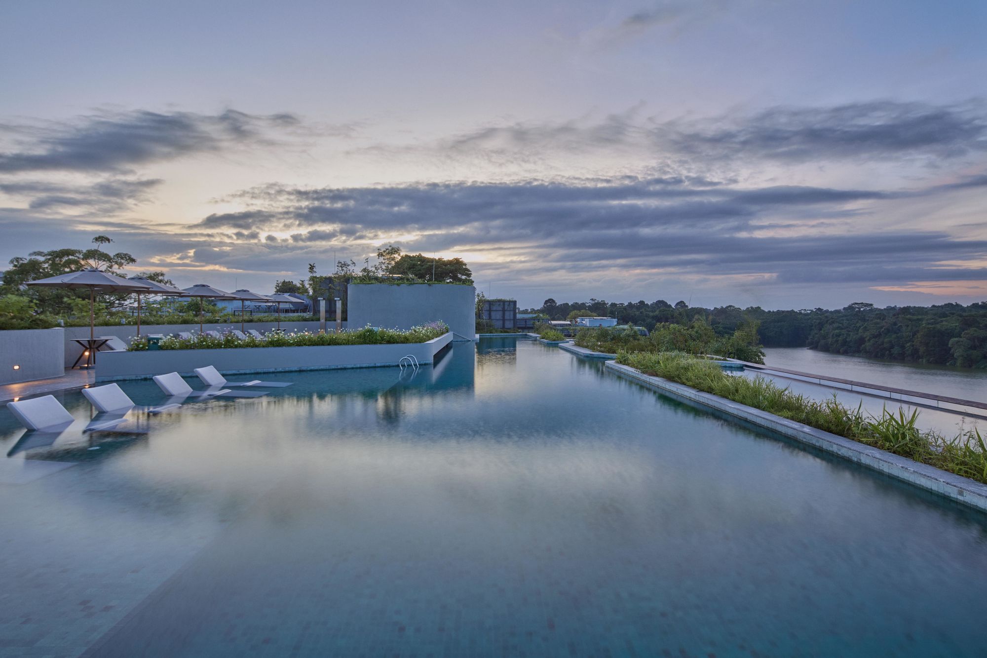 Mandai Rainforest Resort by Banyan Tree à Singapour: Rooftop Pool