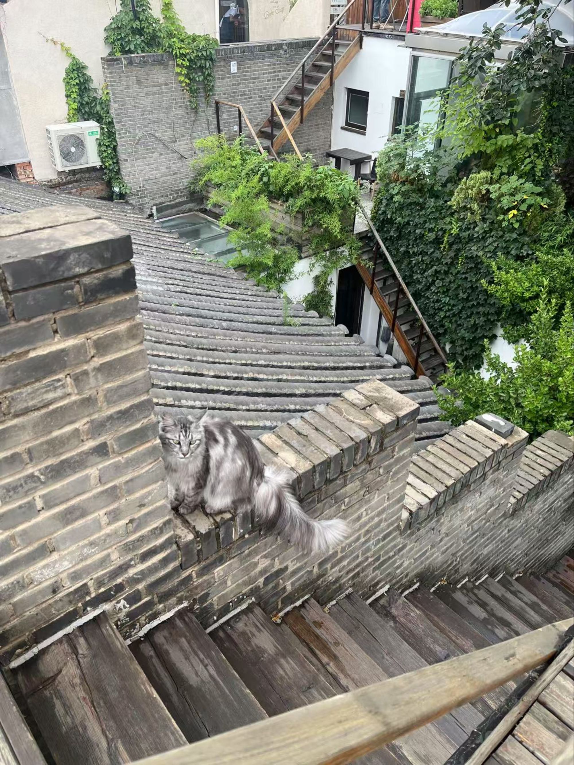 The Orchid à Pékin: aerial view