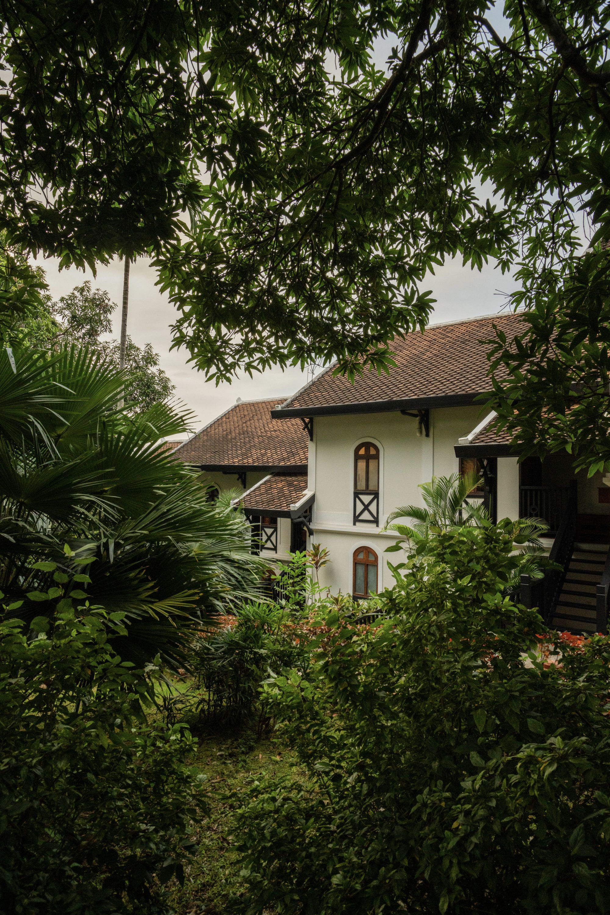 La Résidence Phou Vao in Luang Prabang:  Exterior with Jungle