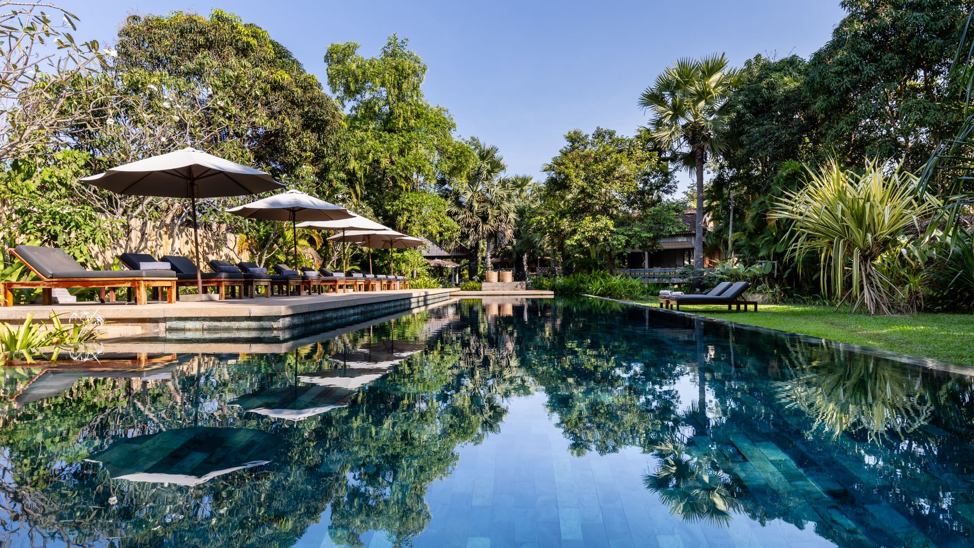 Sala Lodges in Siem Reap:  Palm trees at swimmingpool