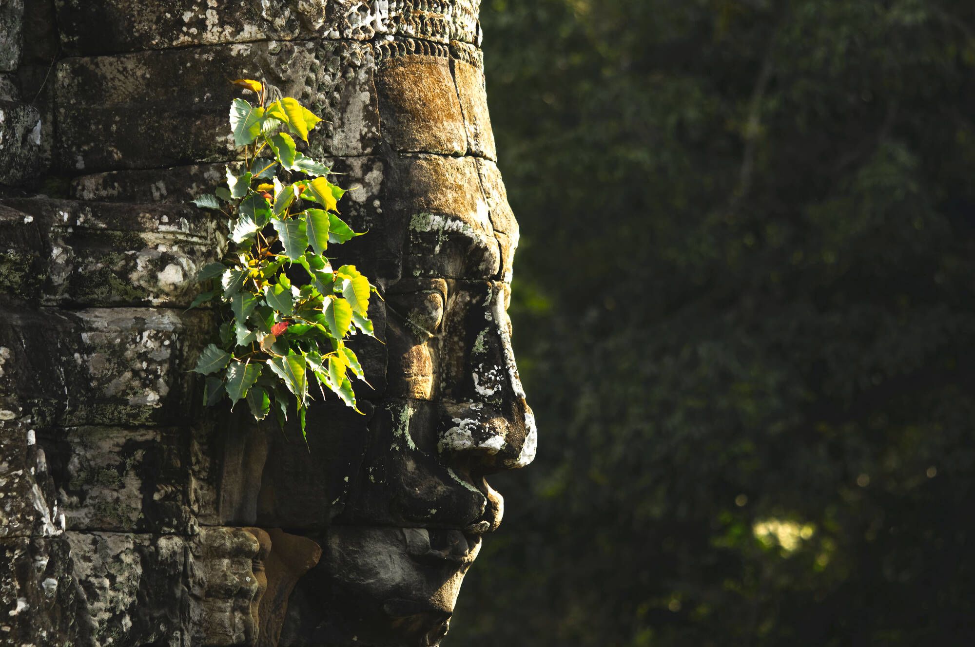 Angkor mystique de Siem Reap: Siem Reap Bayon Temple