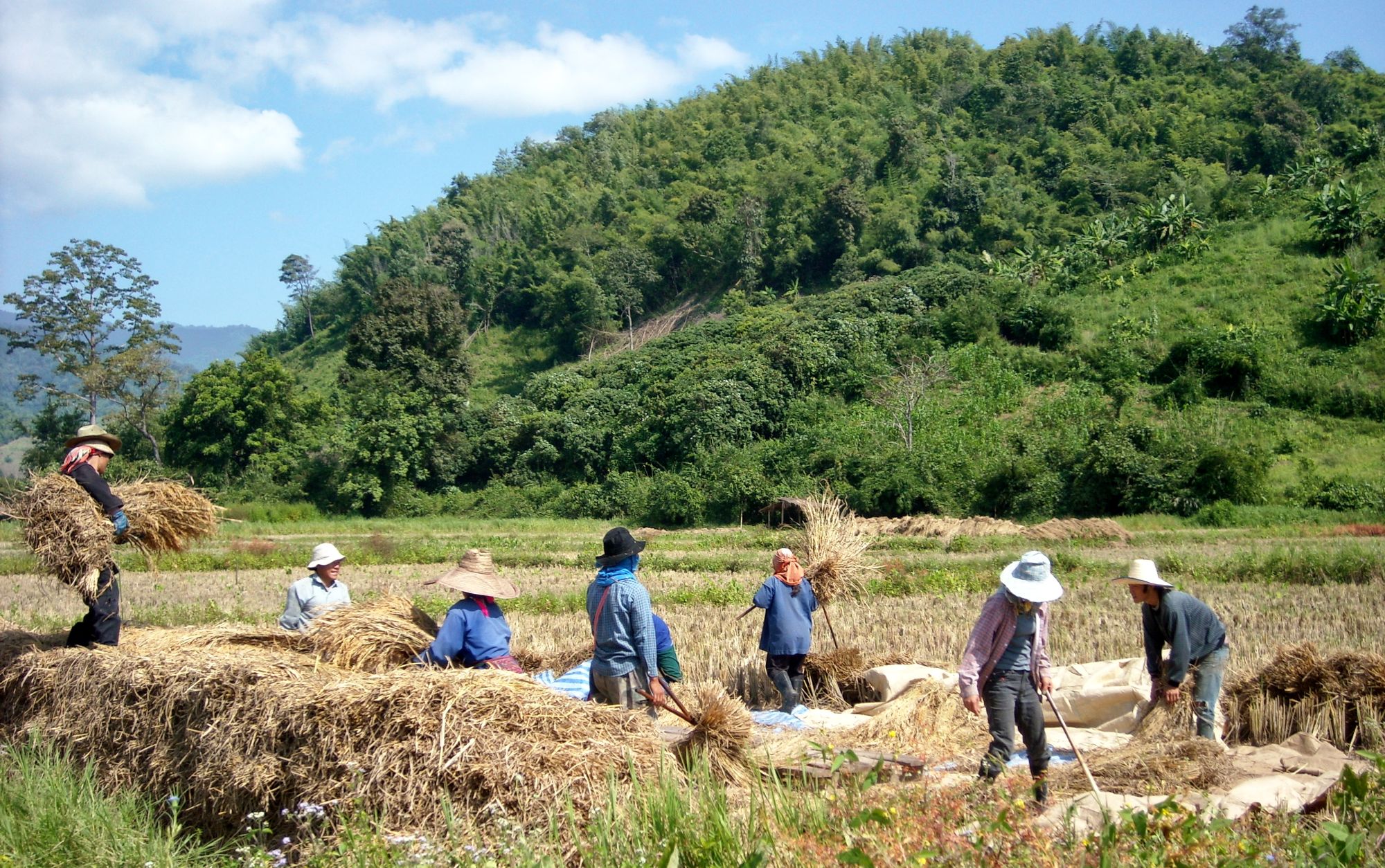 Mietwagen Rundreise Goldenes Dreieck ab Chiang Mai: Northern Thailand: Farmers