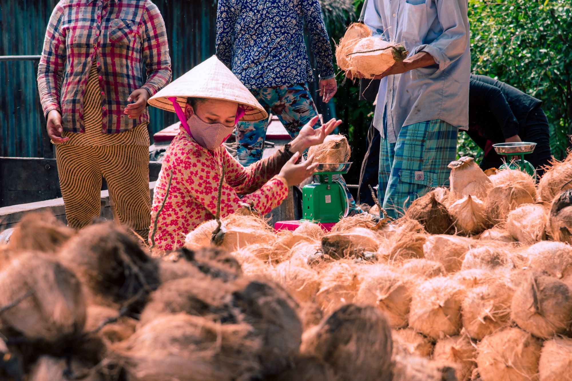 Das Mekong Delta aktiv erleben ab Saigon: Mekong Delta coconut farm