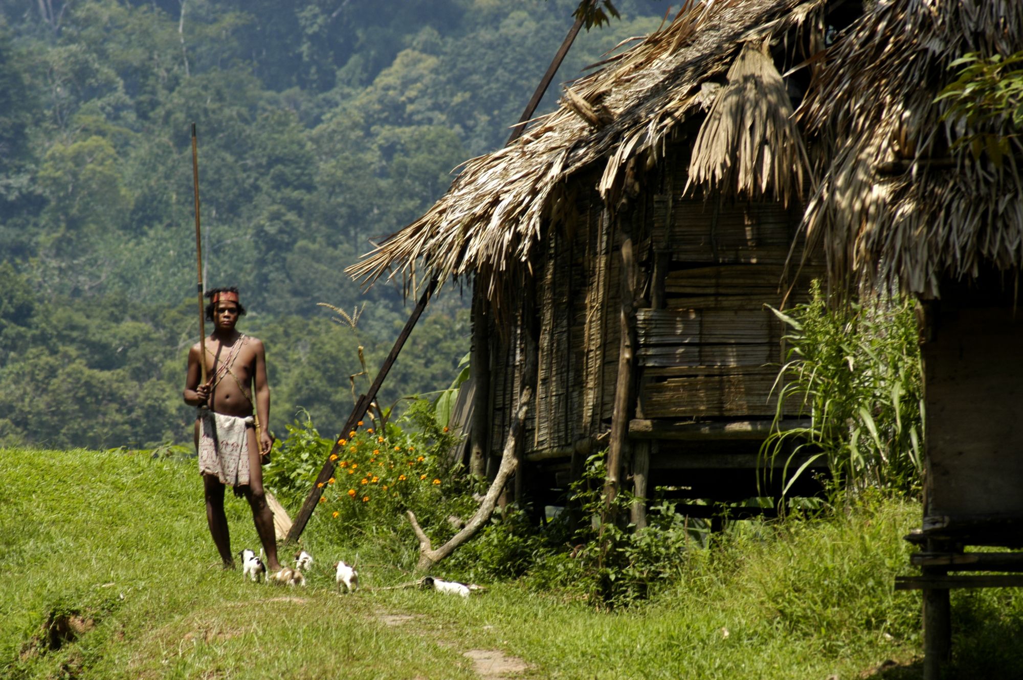 Cameron Highlands ab Kuala Lumpur: Malaysia Cameron Highlands native Orang Asli