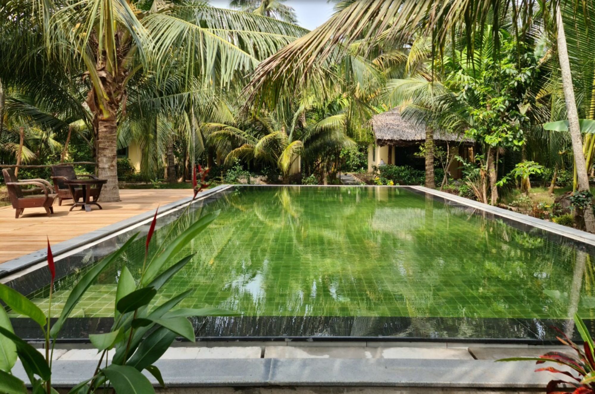 Das Mekong Delta aktiv erleben ab Saigon: pool: Mekong Home | Pool