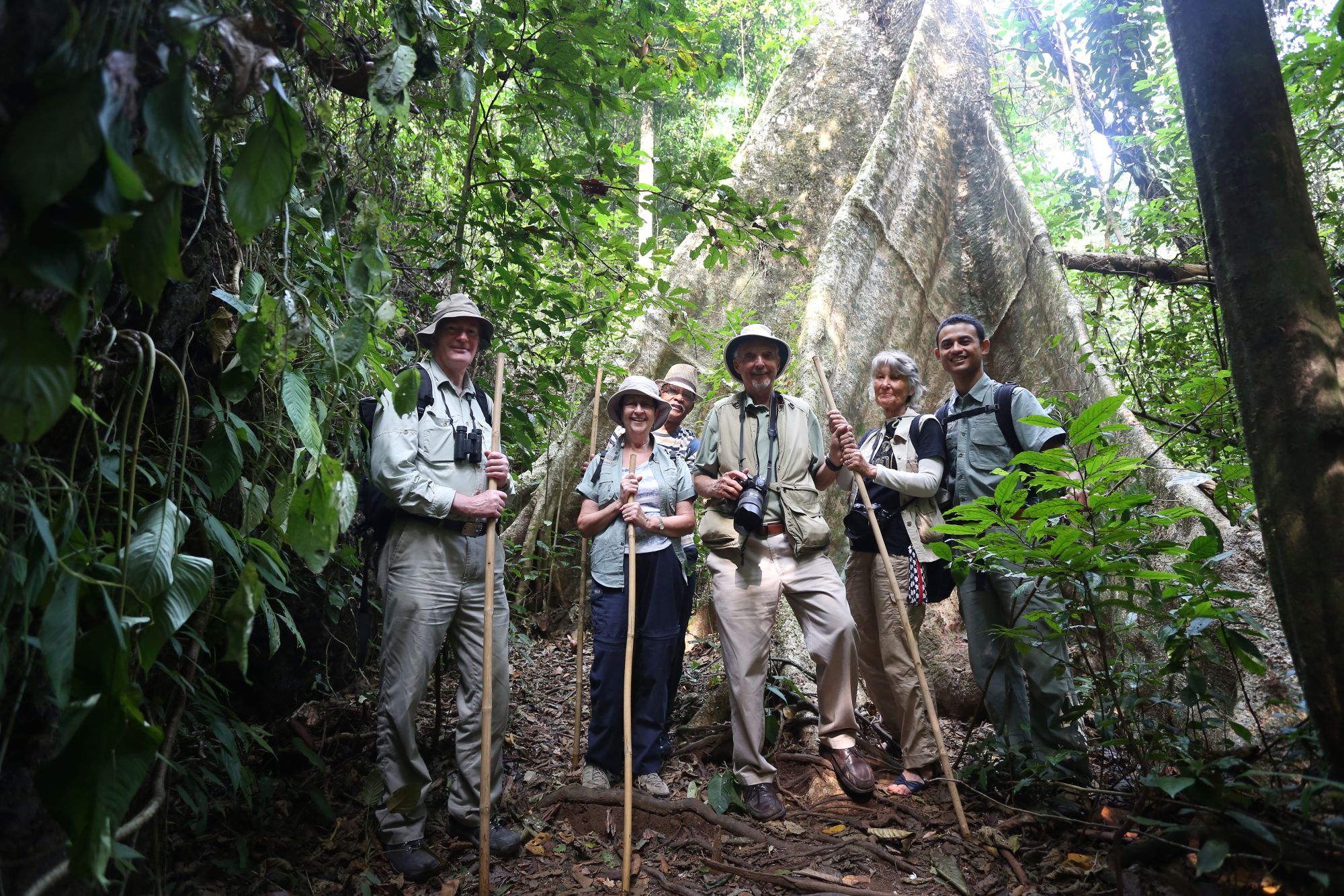 Elephant Hills - 2 Tage ab Phuket: Elephant Hills Jungle Trek