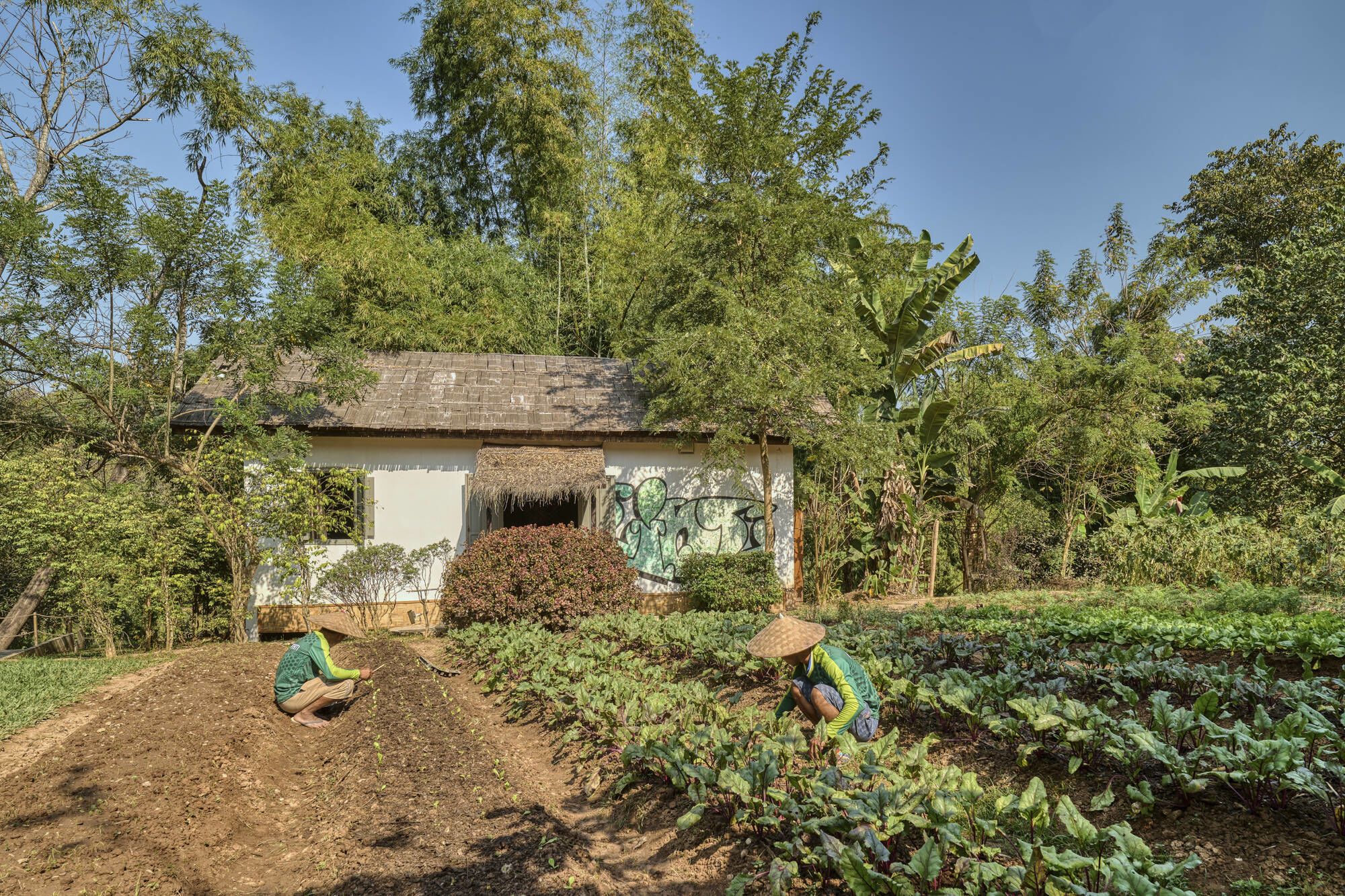 Découverte active de Luang Prabang: facilities: Mural & Organic Farm