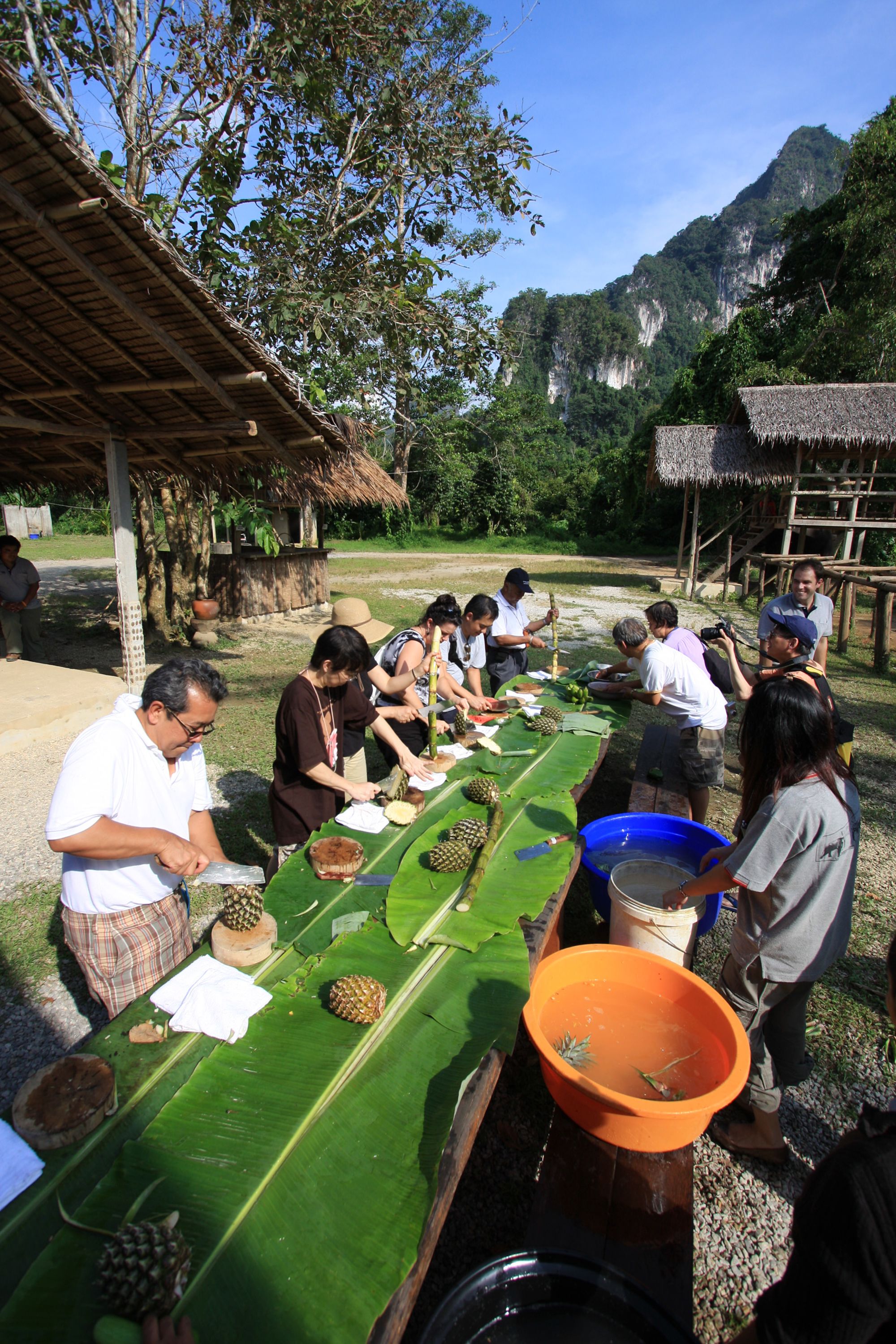 Elephant Hills & The Lake Camp ab Phuket: Elephant Experience