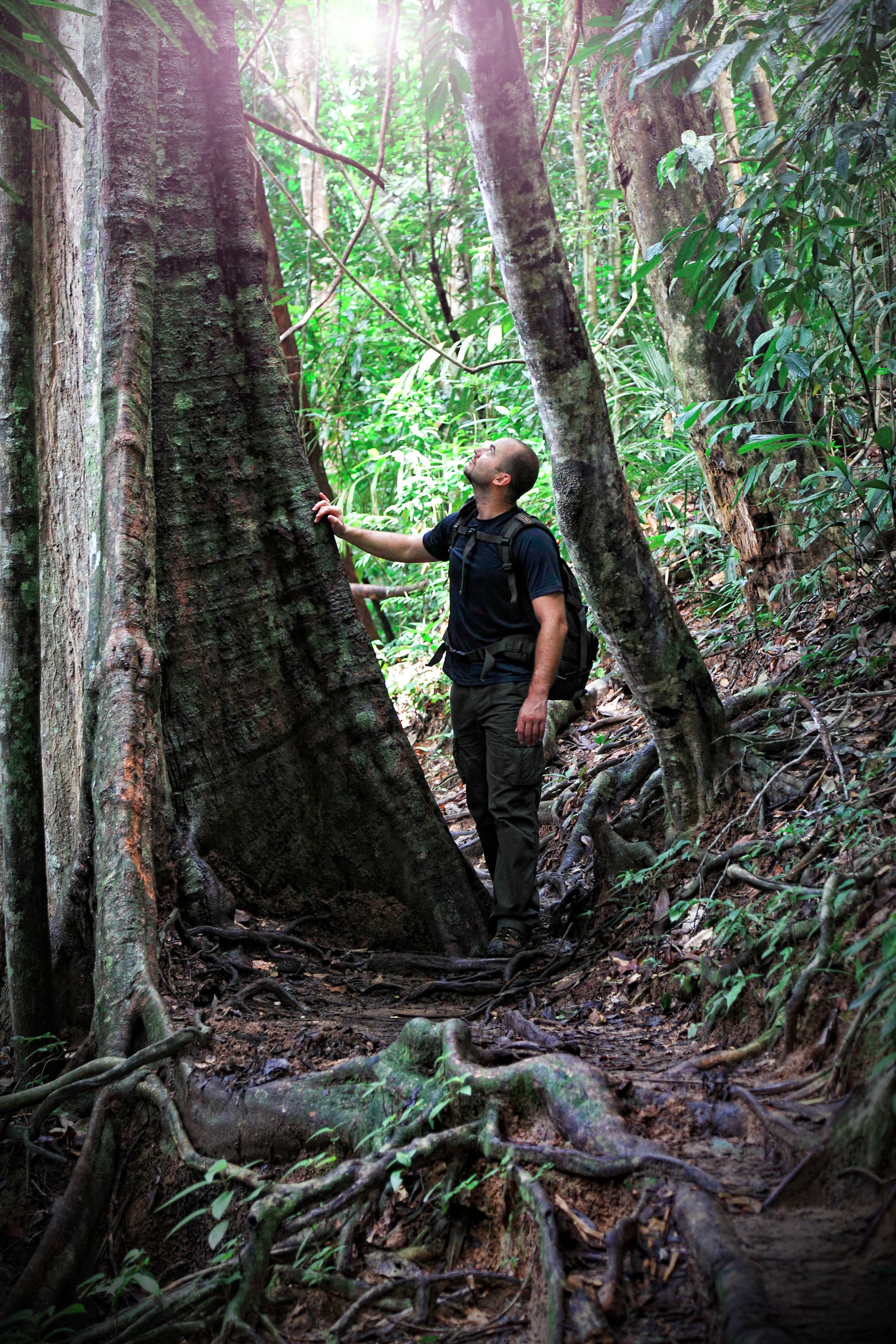 Parc national du Taman Negara de Kuala Lumpur: Taman Negara