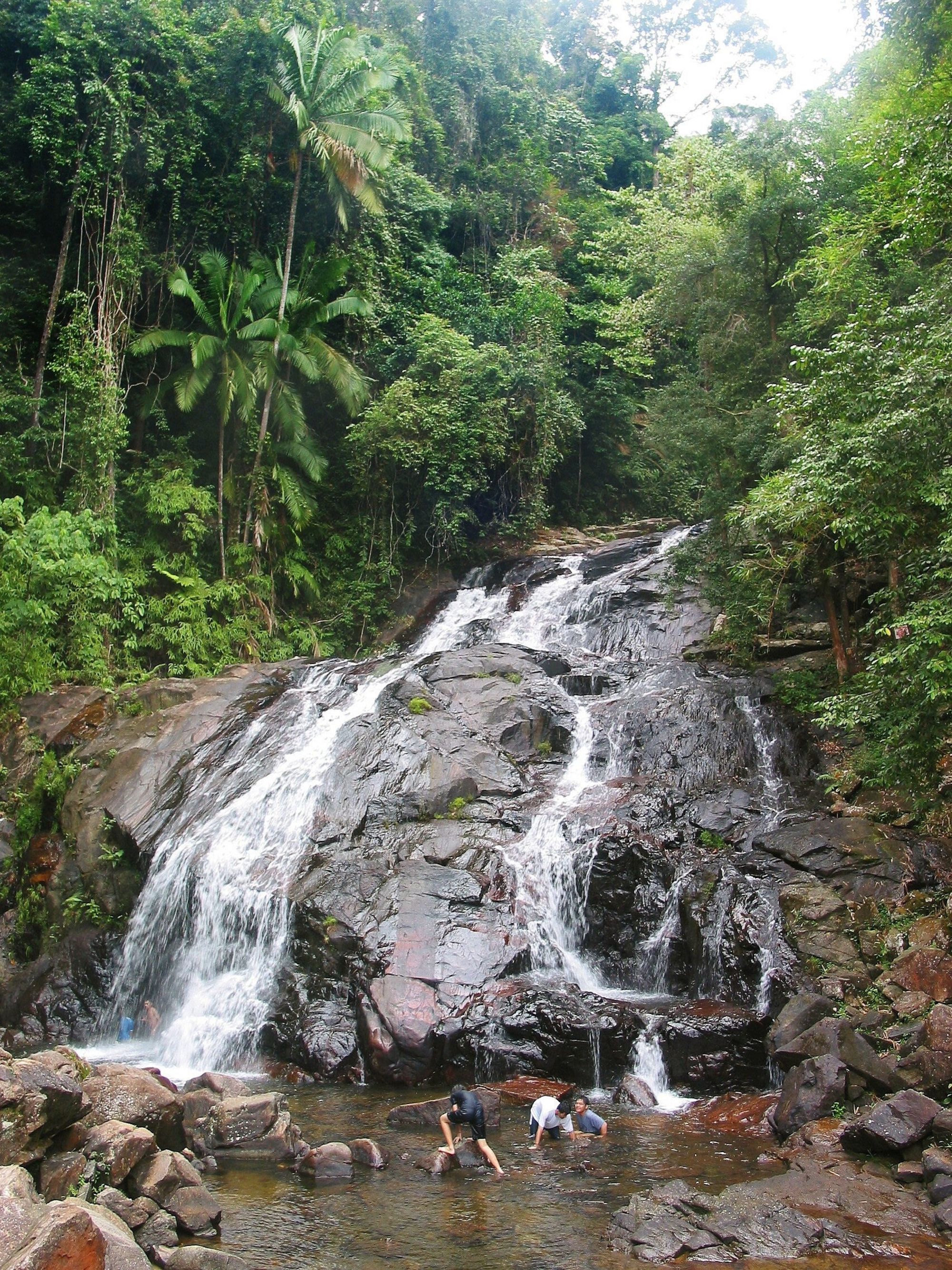 Parc national du Taman Negara de Kuala Lumpur: Taman Negara: Waterfall