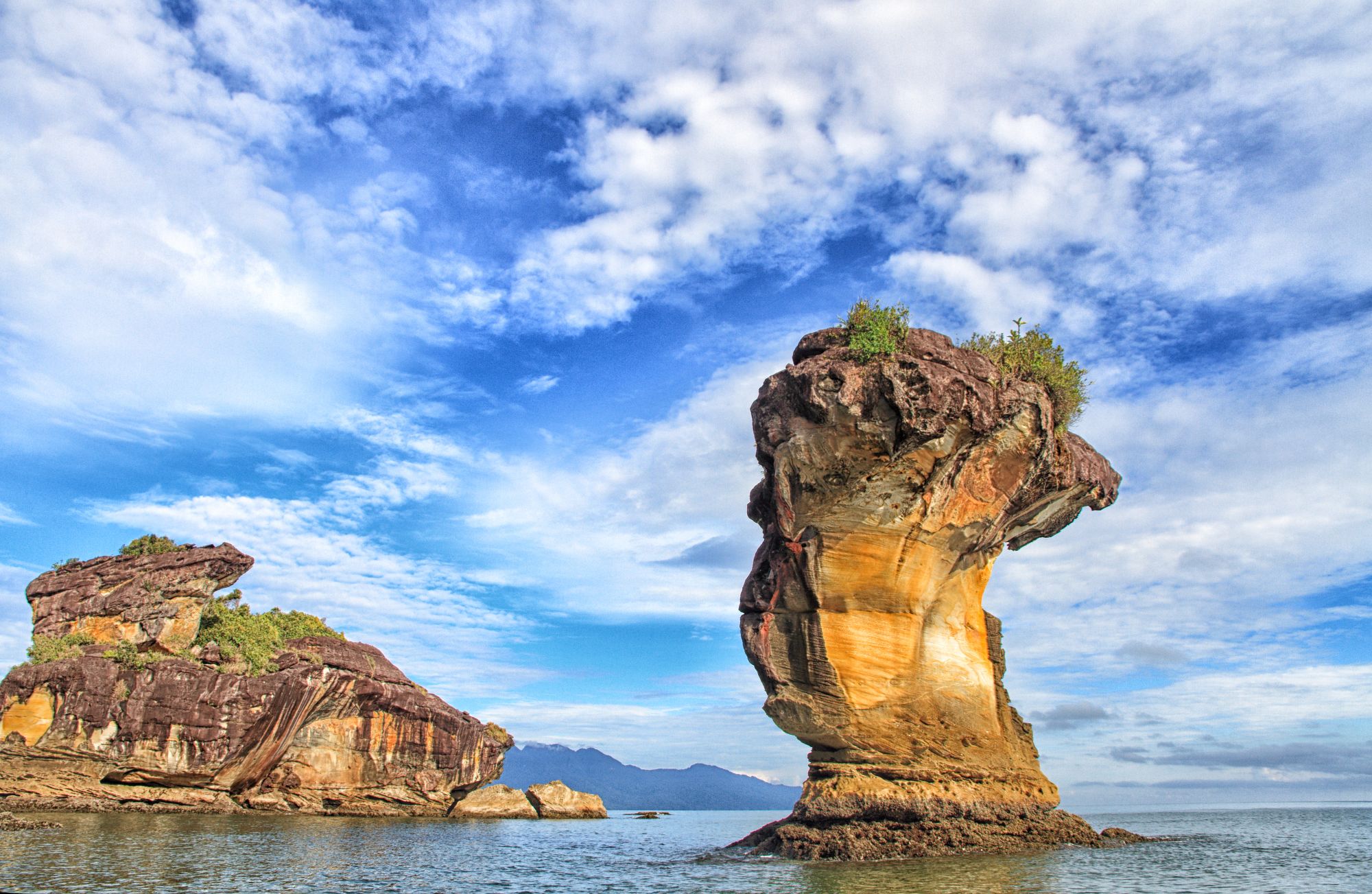 Höhepunkte Borneos ab Kuching: Bako National Park Sarawak