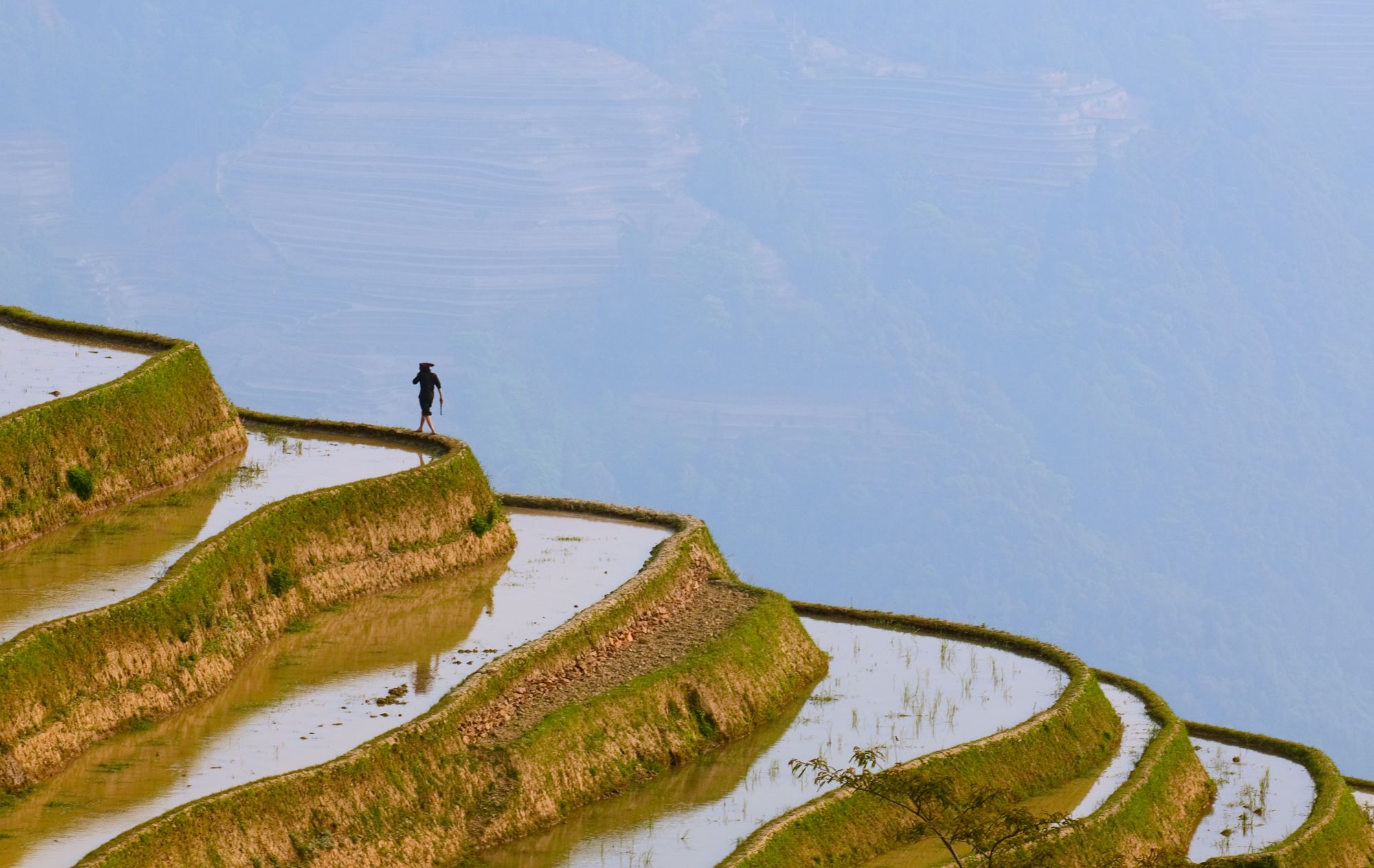 Yunnans Süden - Landschaften wie gemalt ab Kunming: Yuanyang rice terraces