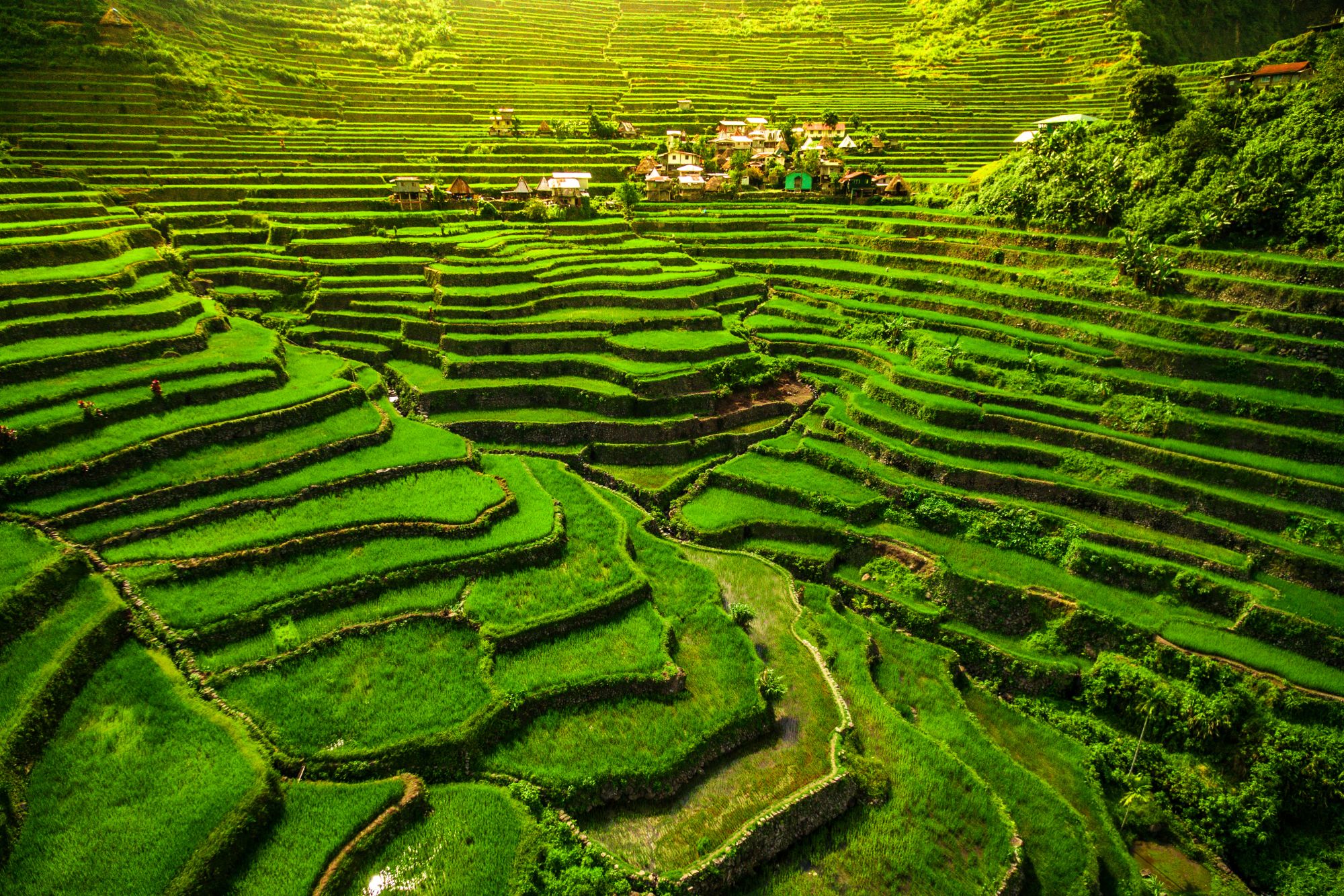 Nord-Luzon Rundreise inkl. Wanderung nach Batad ab Manila: Luzon Ifugao rice terraces