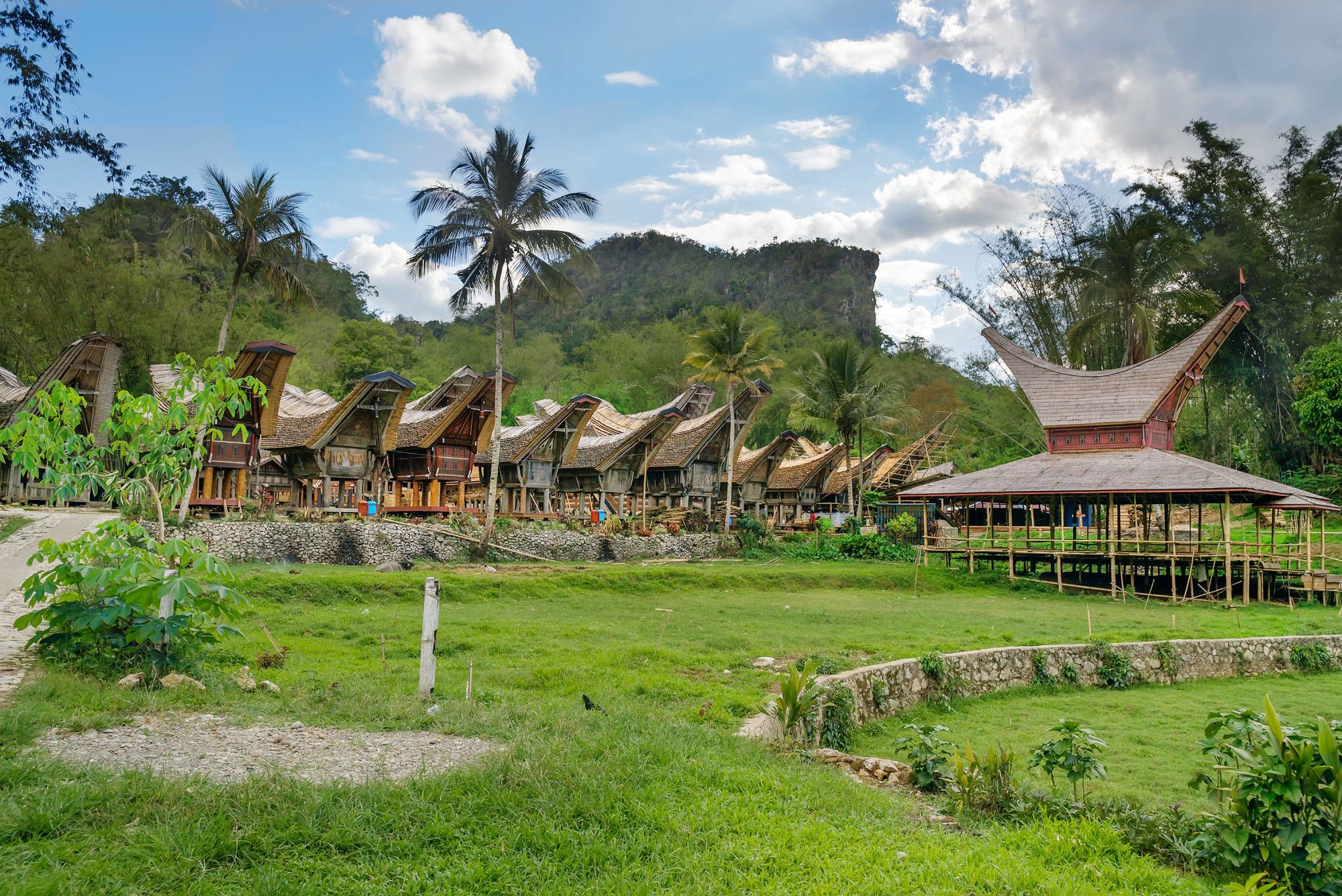 Sulawesi-Torajaland Rundreise ab Makassar: Sulawesi Toraja Tongkonan traditional village Kete Kesu