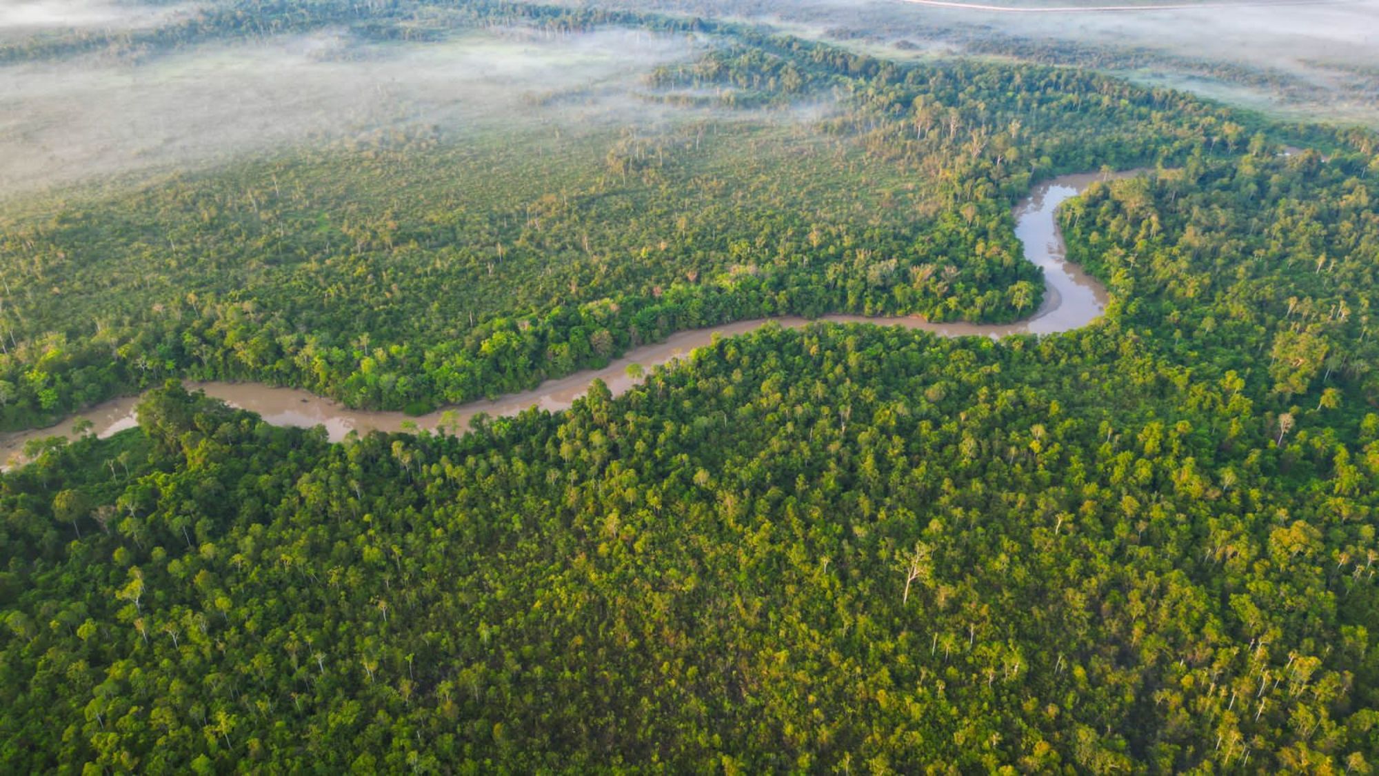 Aventure dans la jungle de Kalimantan, 4 jours de Palangkaraya: Kahayan River snaking through the jungle