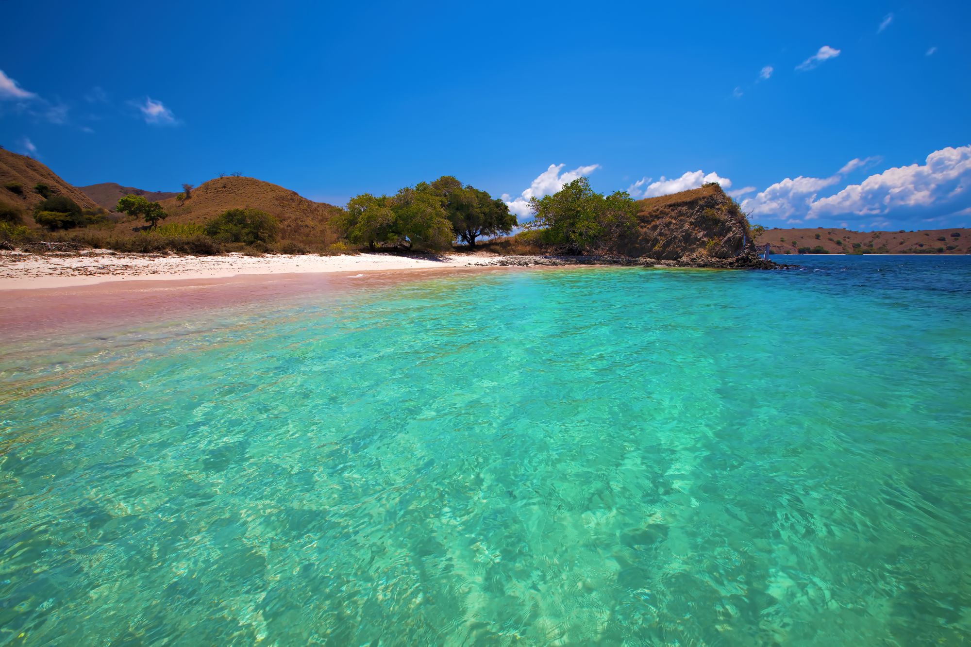 Komodo - Inseln der Warane ab Labuan Bajo: Komodo National Park | Pink Beach 