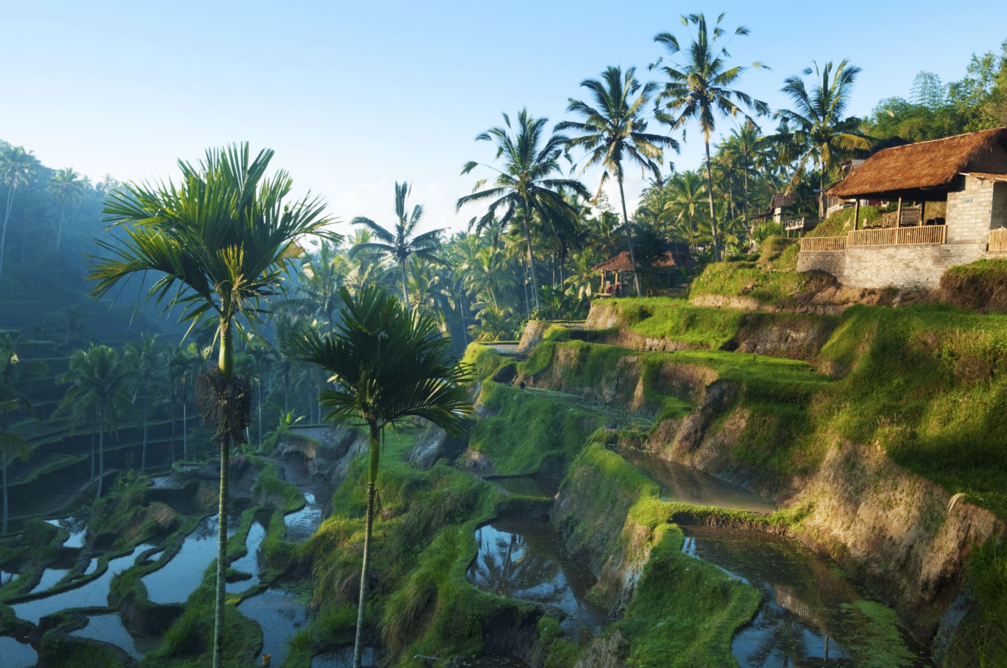 Bali aktiv erleben ab Südbali: Bali Rice Terraces
