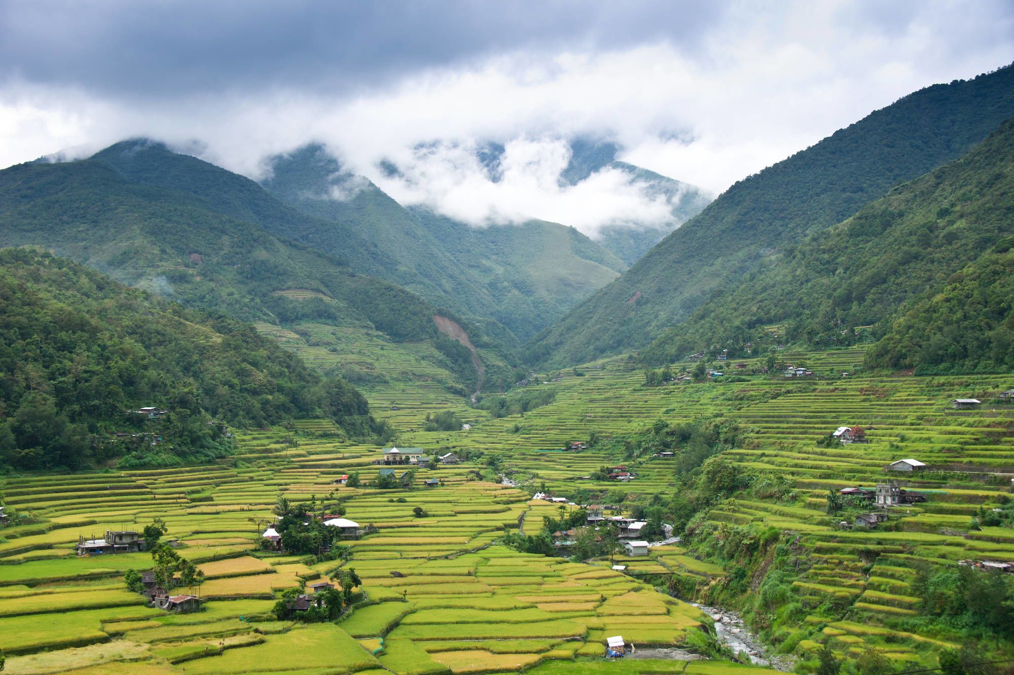 Nord-Luzon Rundreise inkl. Wanderung nach Batad ab Manila: Luzon Banaue rice fields