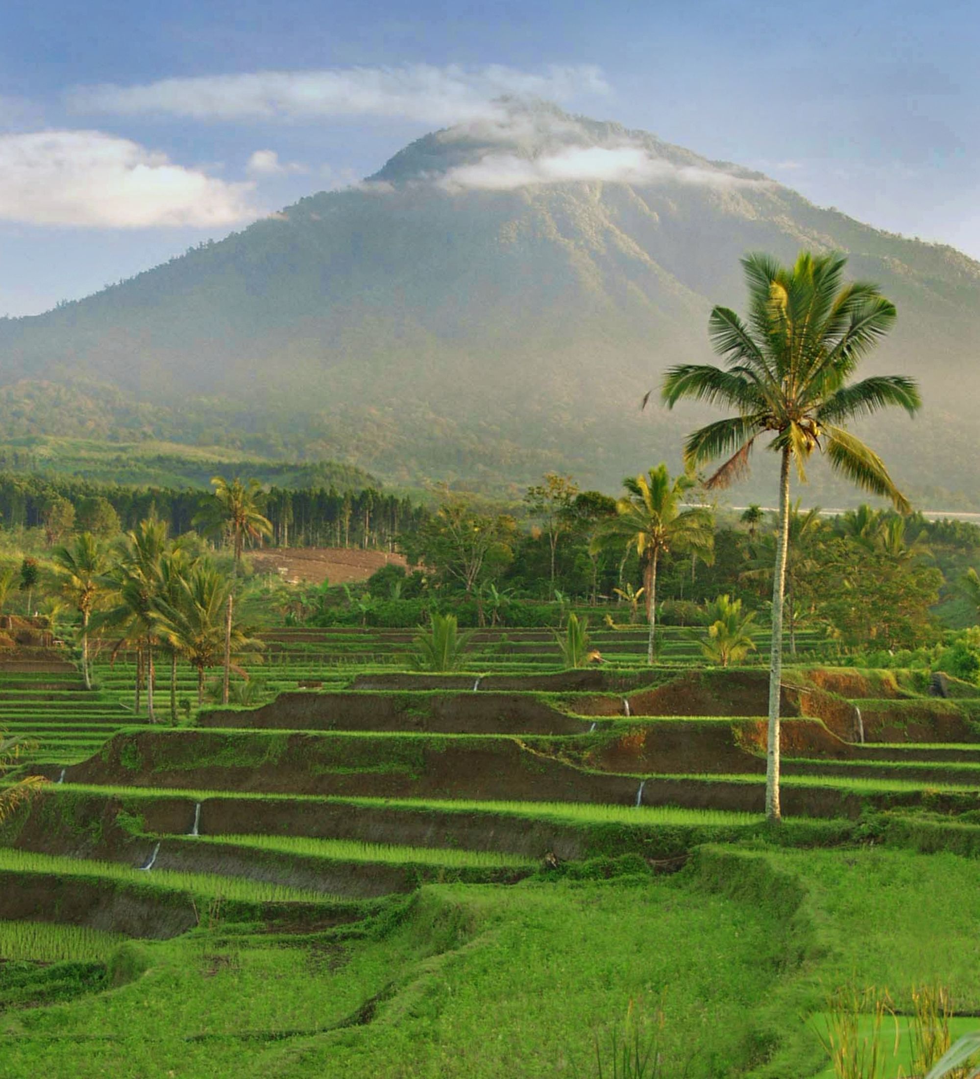 Java-Bali pour les fins connaisseurs de Yogyakarta: Java Mount Ijen