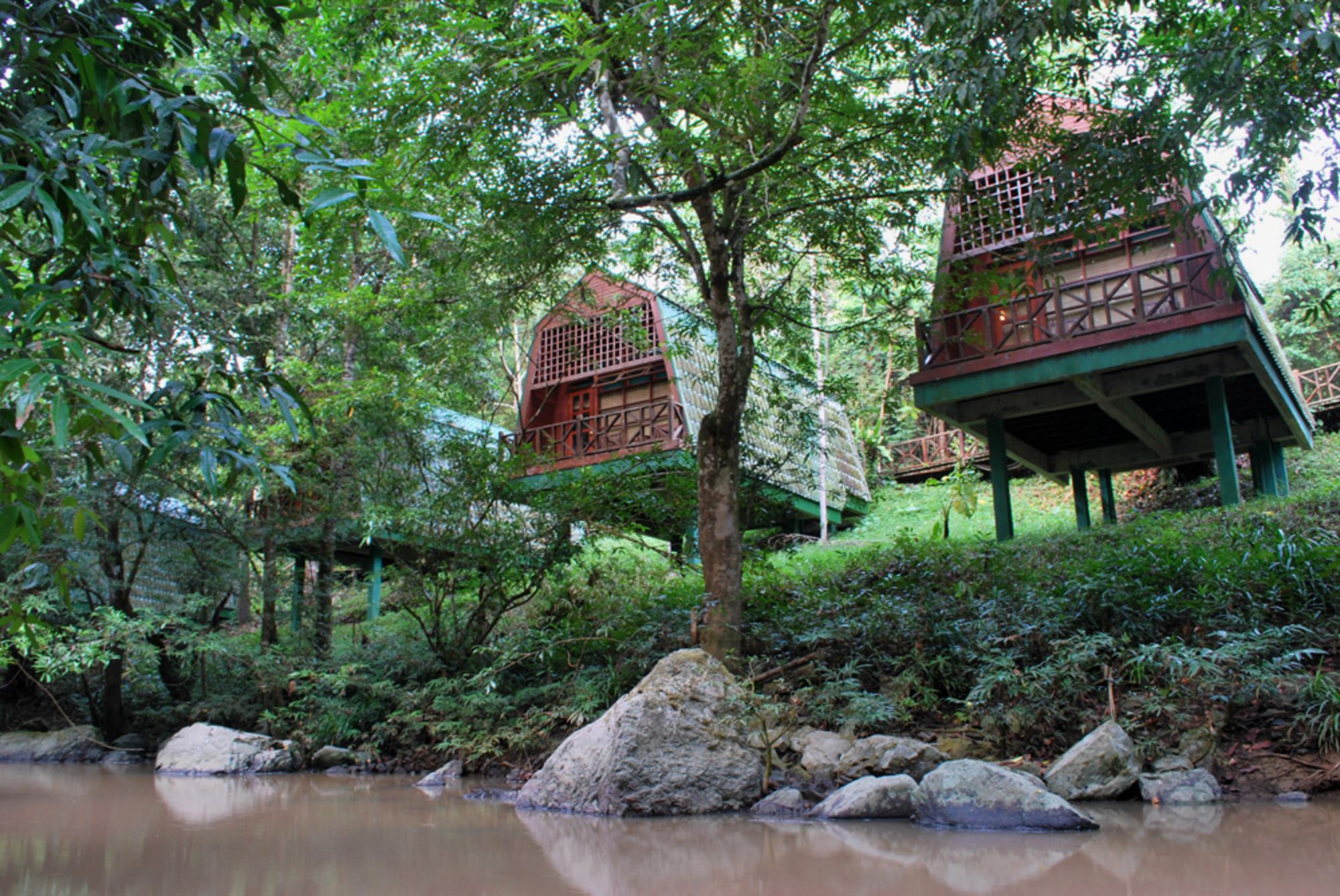 Bornéo Wildlife / Tabin Wildlife Reserve de Kota Kinabalu: Tabin River Lodge