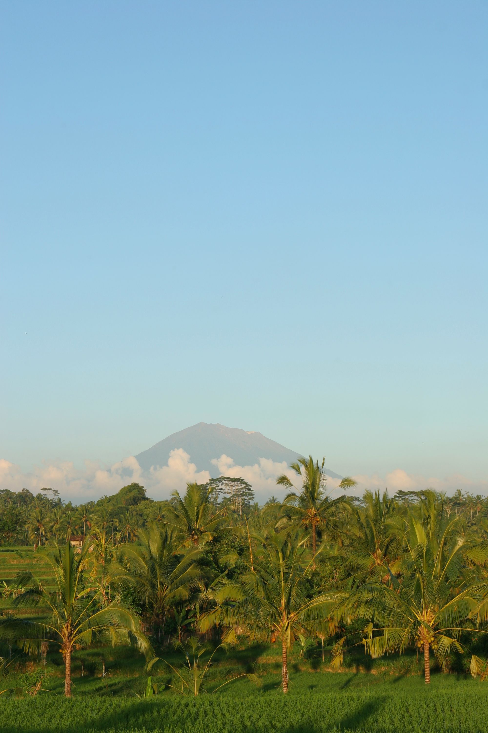 Erlebnisreiches Bali ab Südbali: Bali Mount Agung