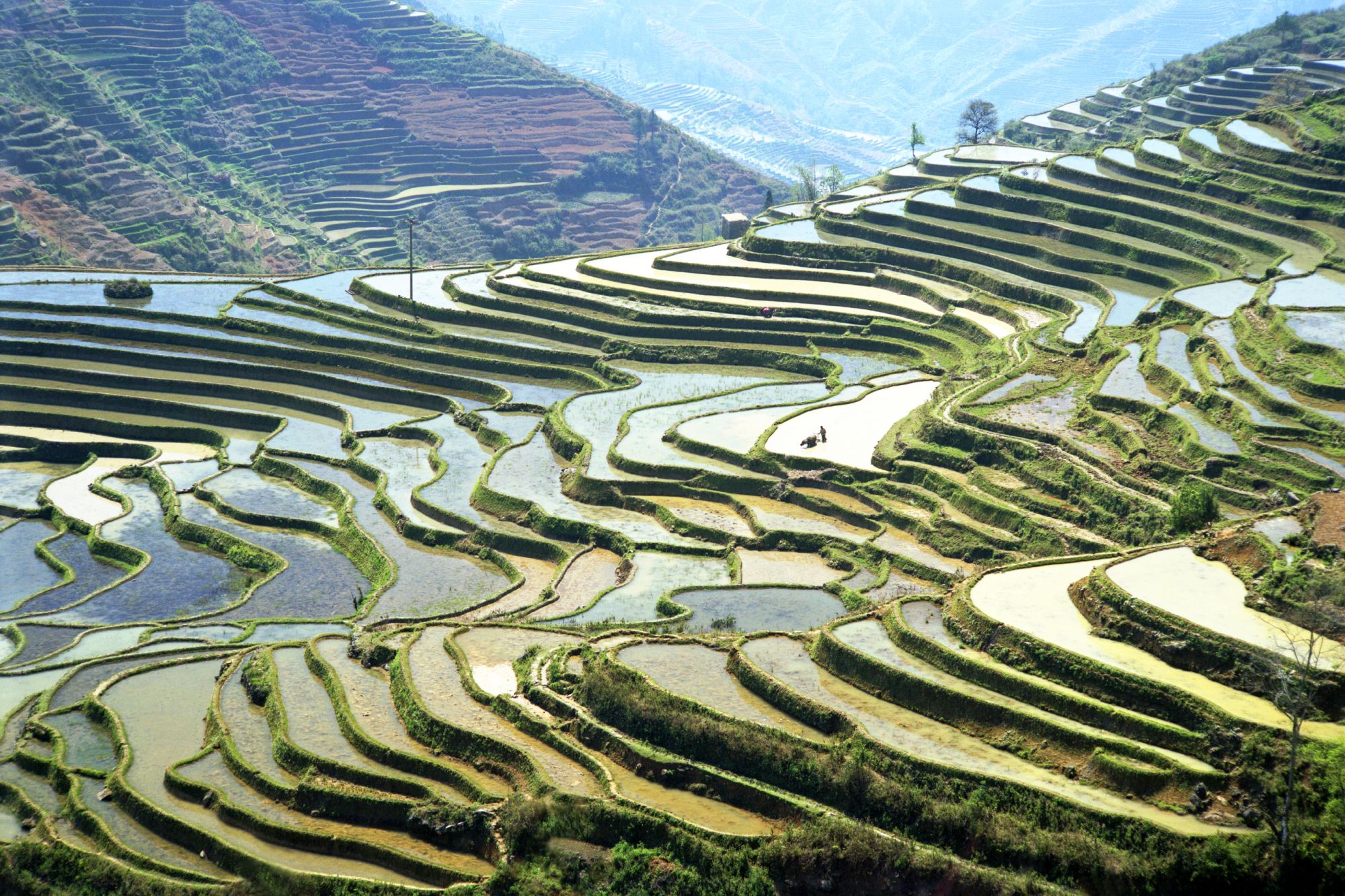 Yunnans Süden - Landschaften wie gemalt ab Kunming: Yuanyang rice terraces