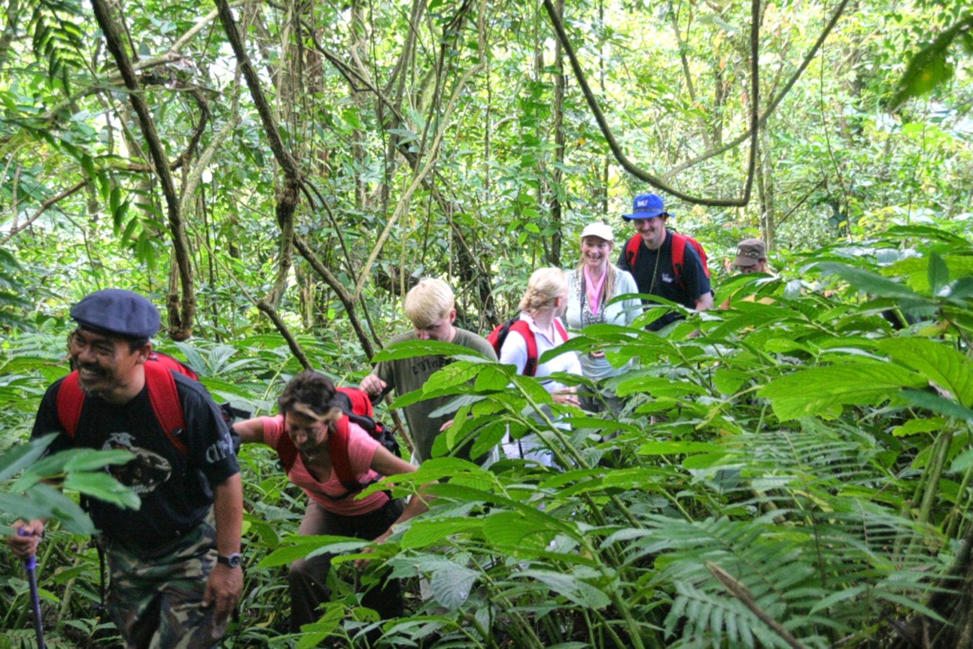 Bali aktiv erleben ab Südbali: activities: Rainforest trekking
