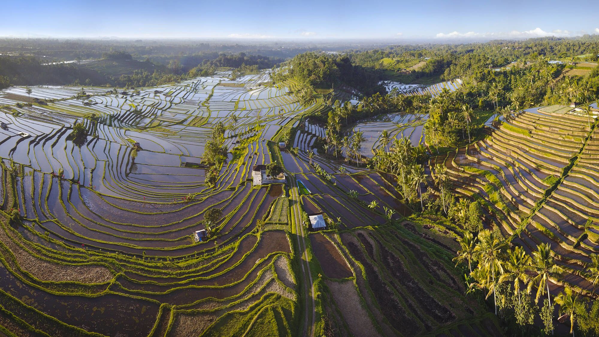 Bali aktiv erleben ab Südbali: Bali: The beautiful and dramatic rice fields of Jatiluwih
