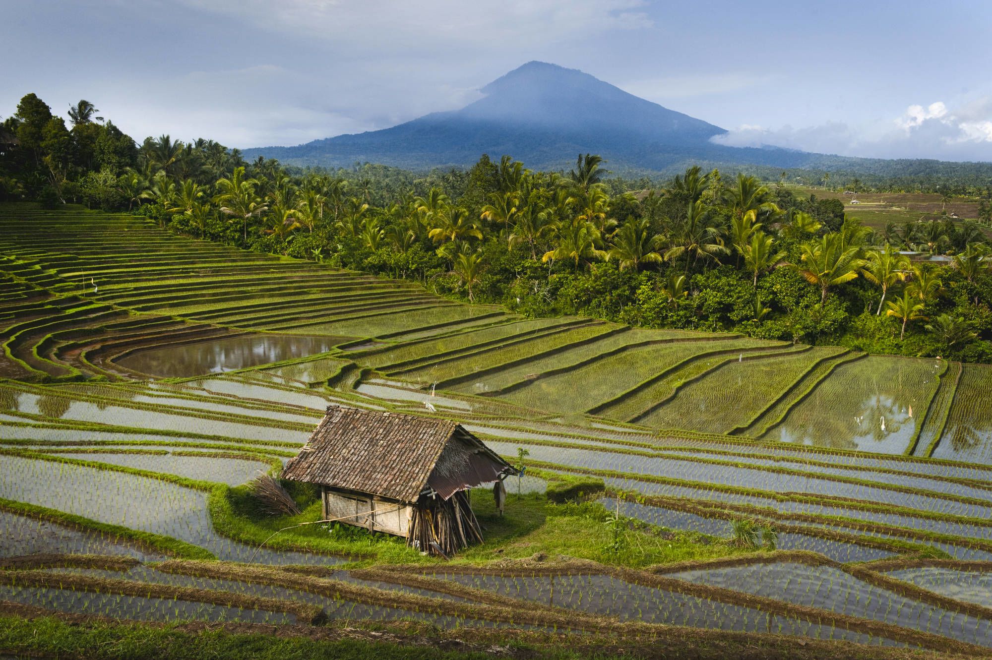 Bali occidentale méconnue de Sud de Bali: Bali Beliming Rice Terraces