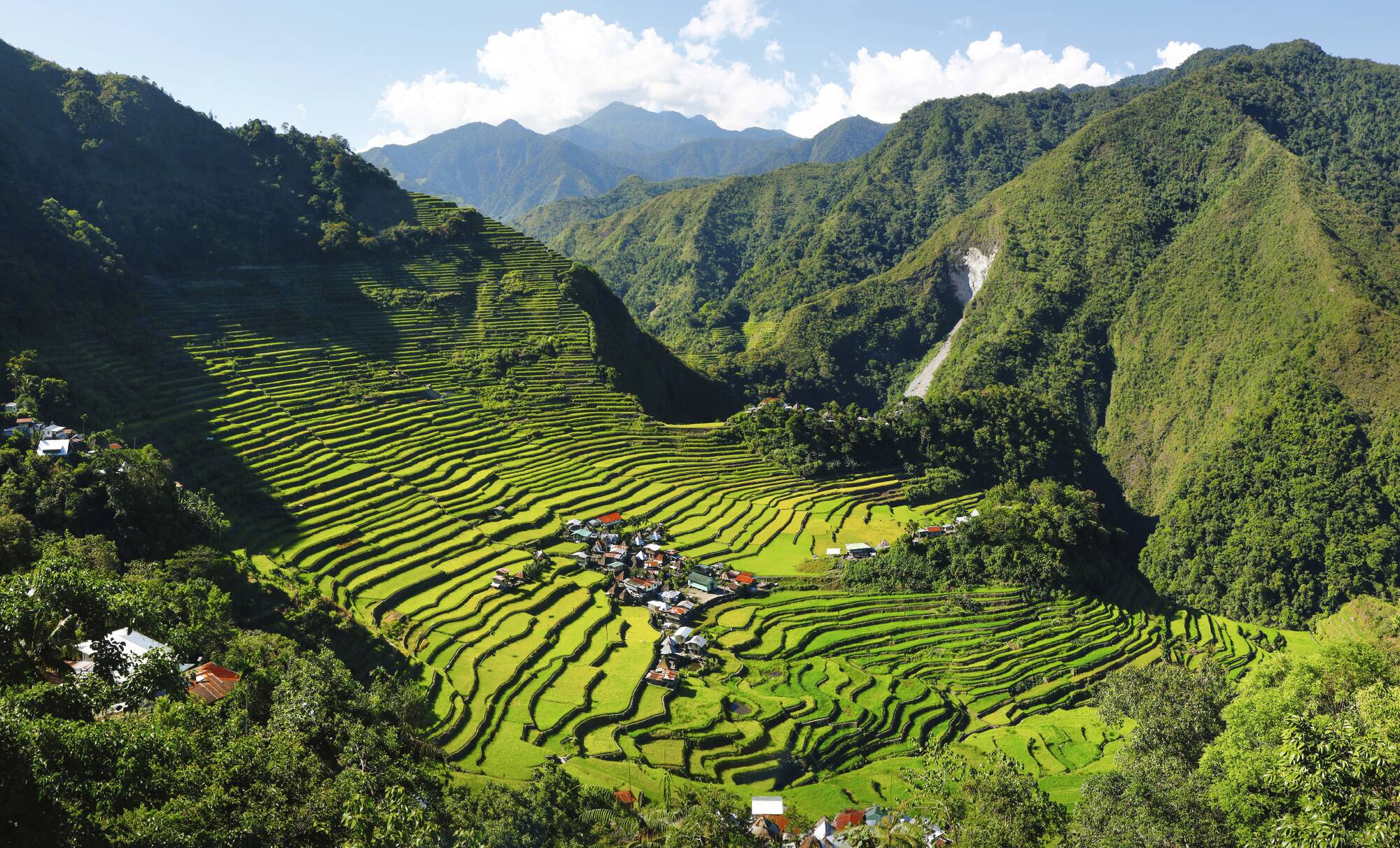 Nord-Luzon Rundreise inkl. Wanderung nach Batad ab Manila: Luzon - rice field terraces in the area of Batad