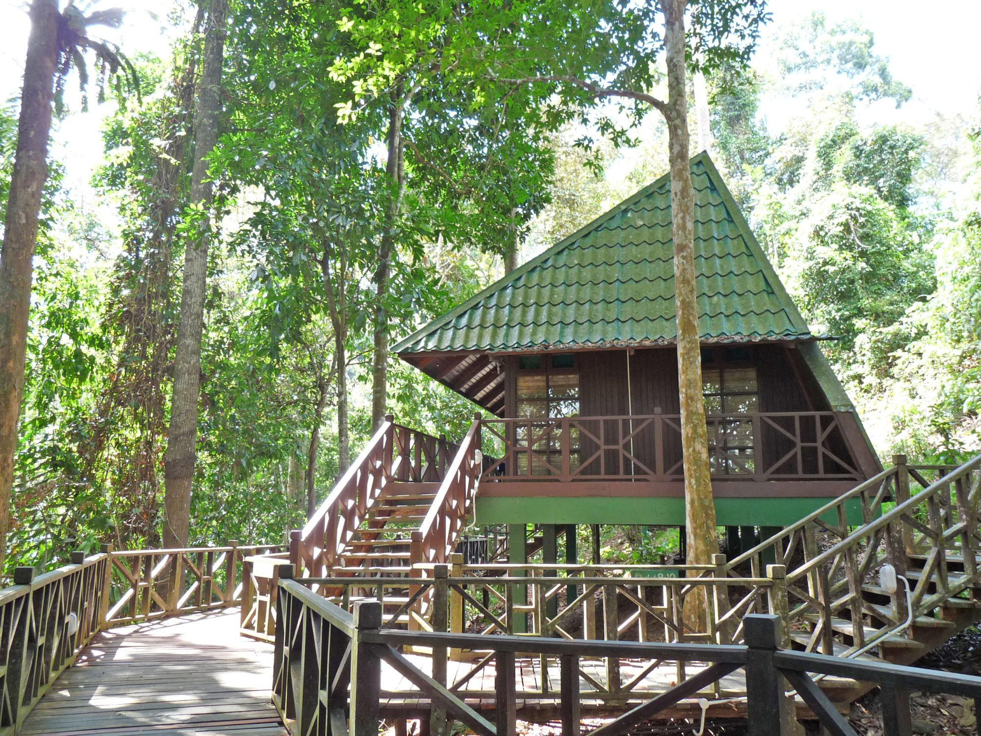 Borneo Wildlife / Borneo Rainforest Lodge ab Kota Kinabalu: Tabin Hill Lodge