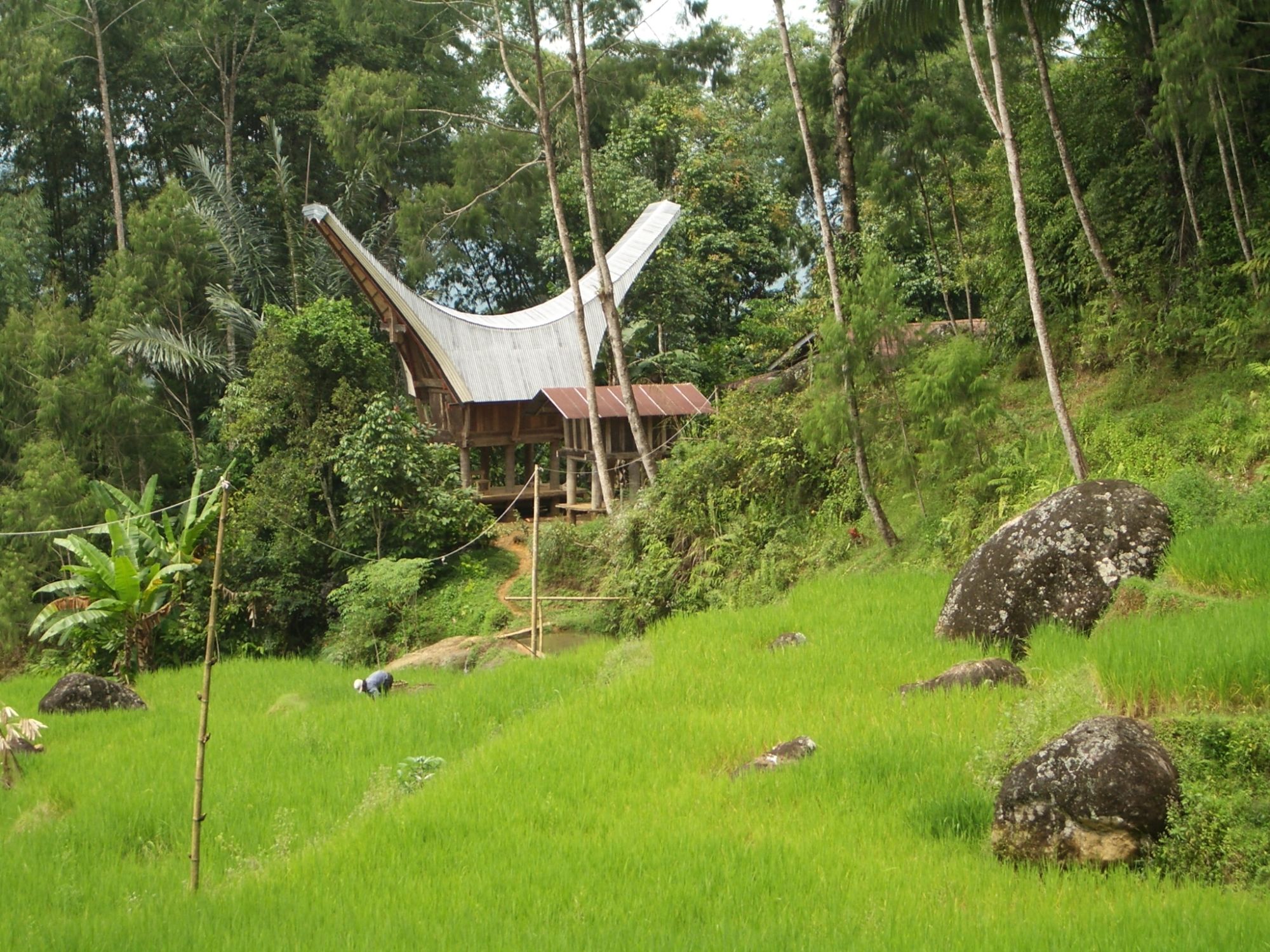 Sulawesi-Torajaland Rundreise ab Makassar: Sulawesi Toraja Traditional House