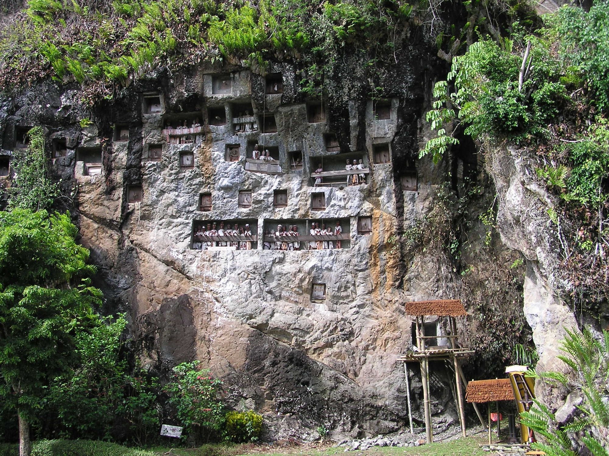 Sulawesi-Torajaland Rundreise ab Makassar: Sulawesi Toraja Lemo Graves