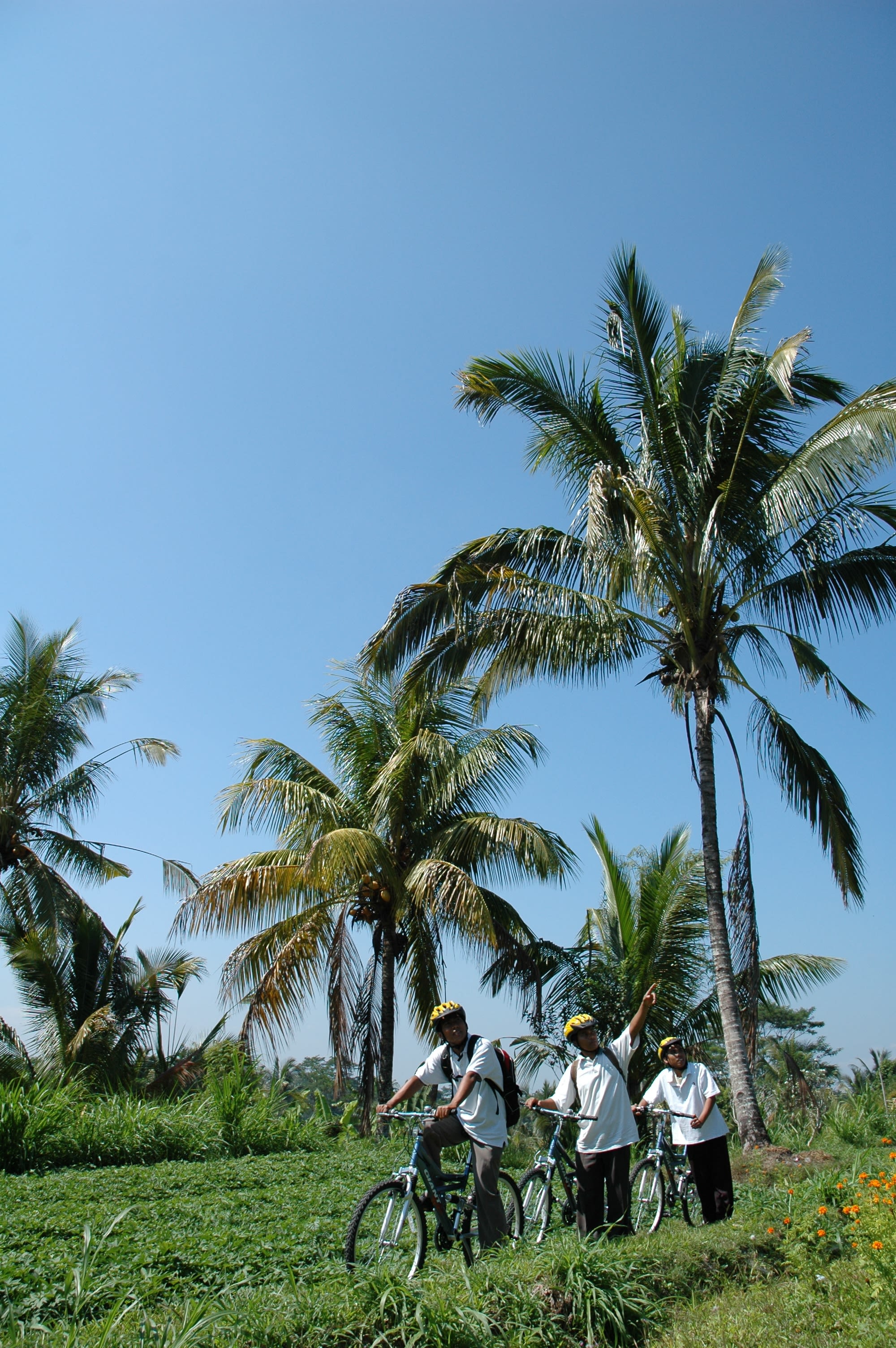 Bali aktiv erleben ab Südbali: Bali Biking