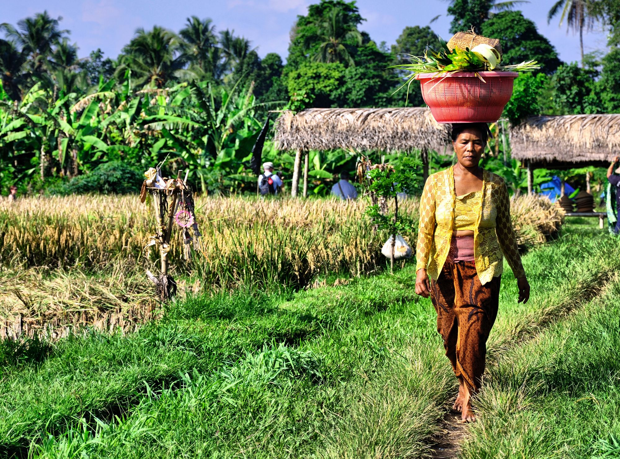 Bali aktiv erleben ab Südbali: Bali farmer