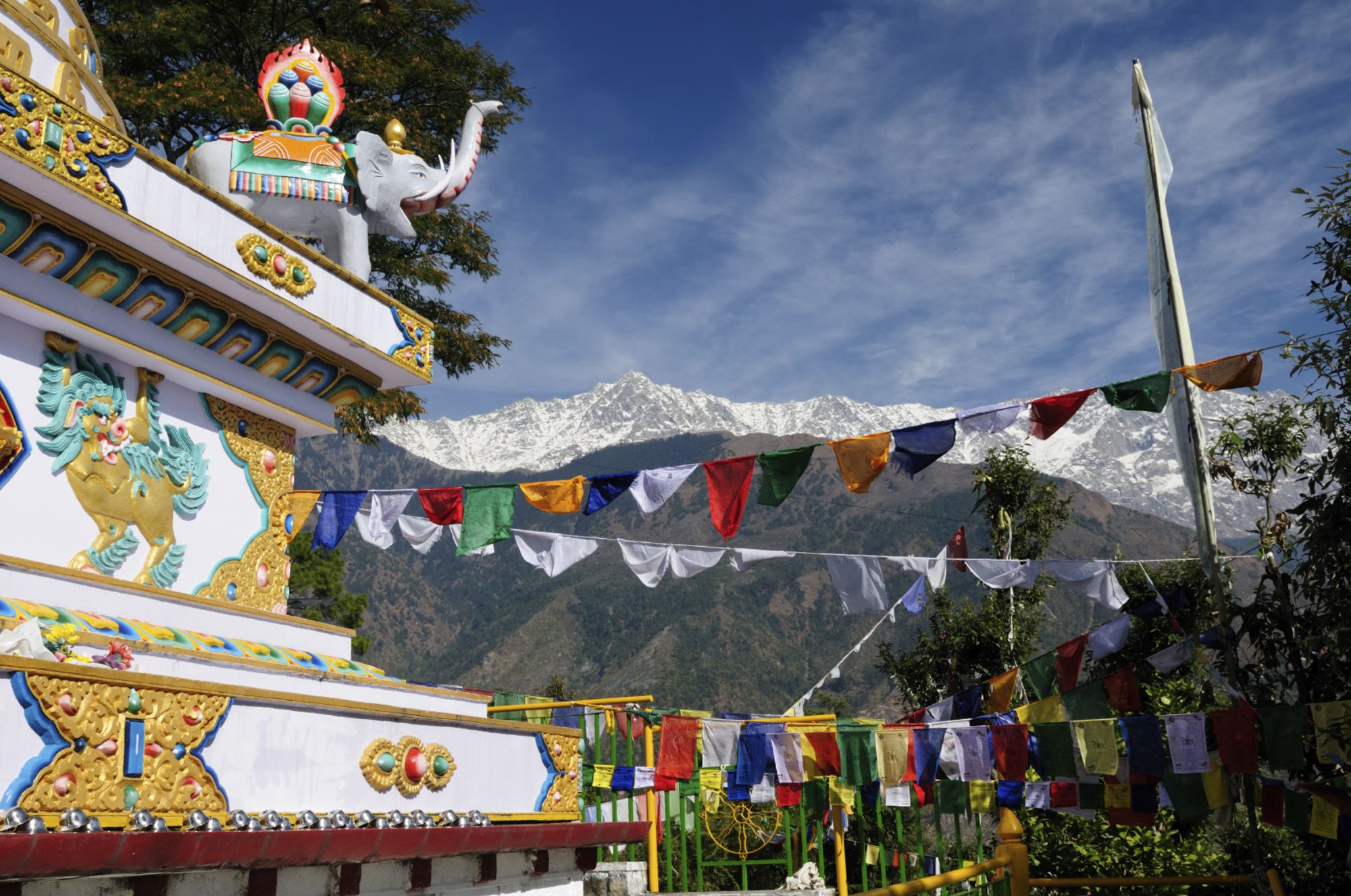 Am Fusse des Himalaya ab Delhi: Dharamsala McLeod Ganj: Kalaczakra temple