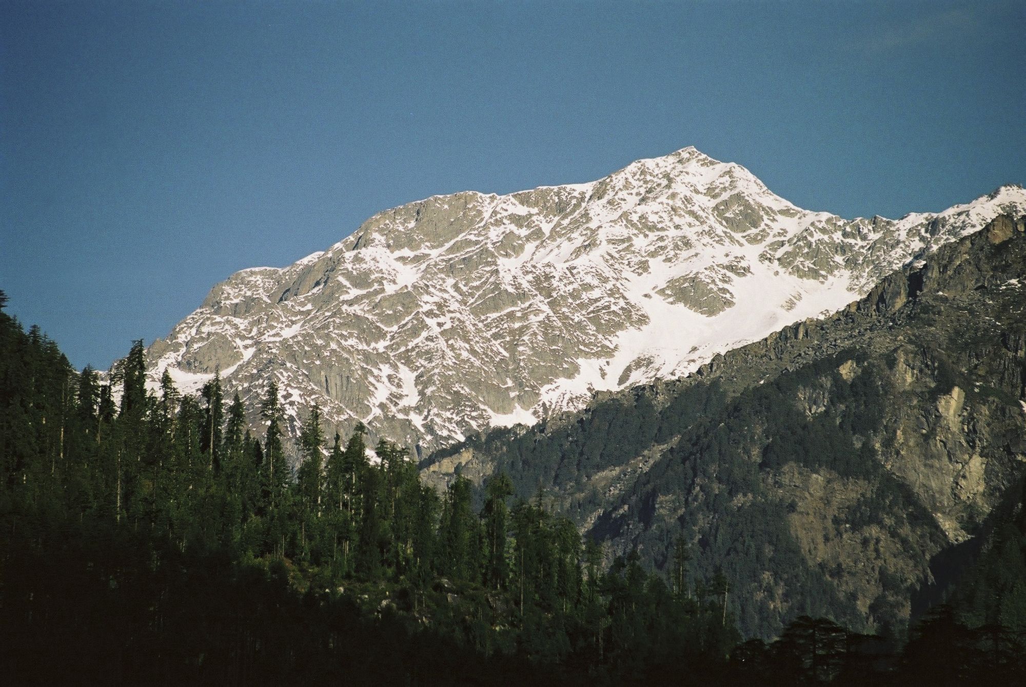 Am Fusse des Himalaya ab Delhi: Himalaya: Manali