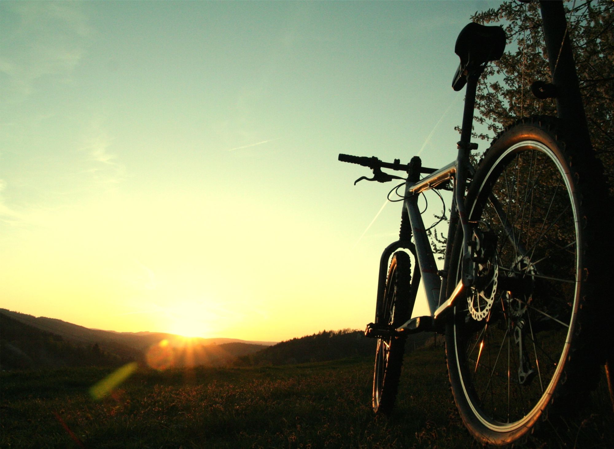 Tour à vélo à travers le Kerala de Kovalam: Kerala Biking Tour
