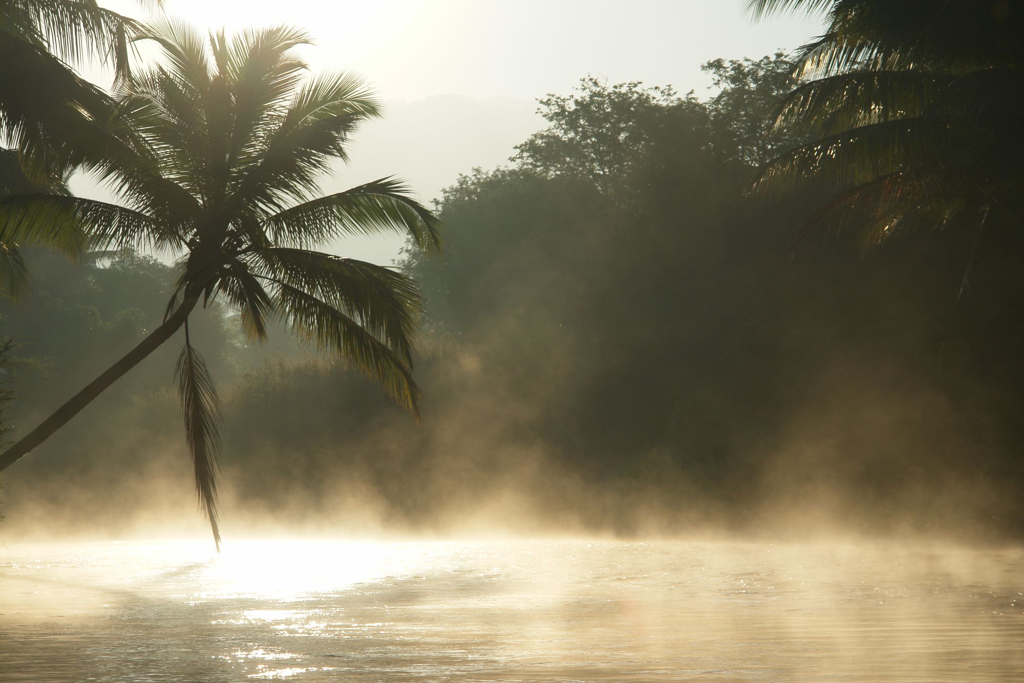 Les hauts lieux du sud de l'Inde de Chennai: Thekkady: Landscape