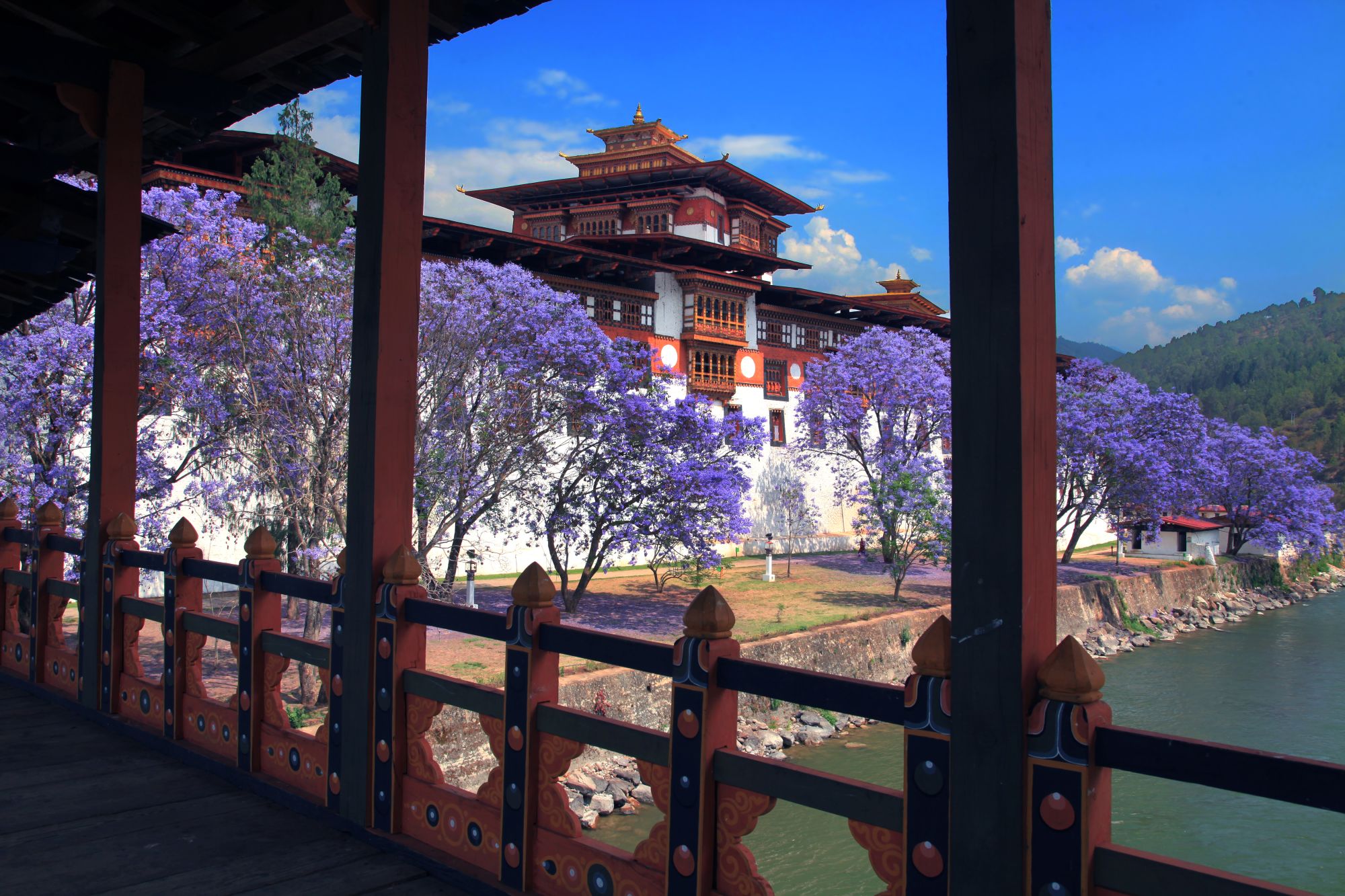 Im Land des Donnerdrachens ab Paro: Punakha: Dzong