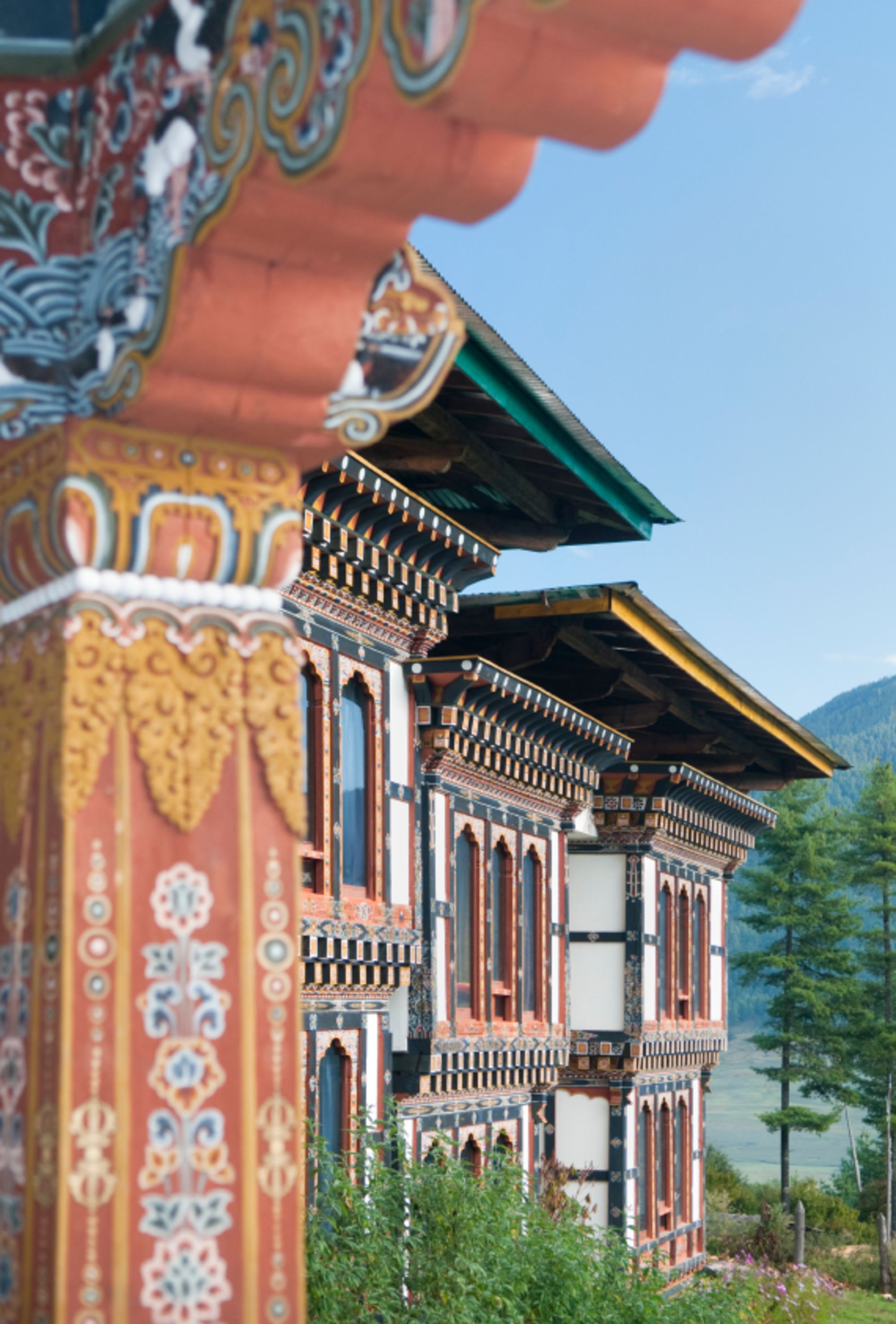 Himalaya Reise für Entdecker ab Bagdogra: Typical building design