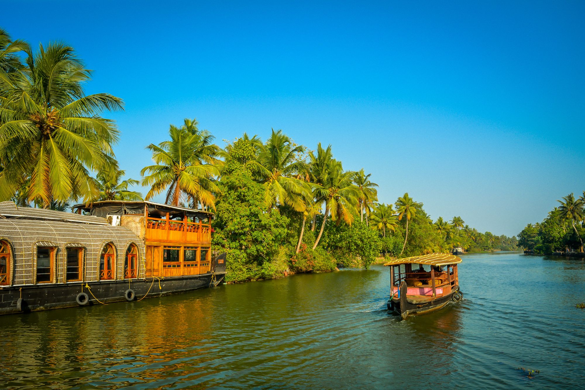Naturschönheiten Keralas ab Kochi: Backwaters