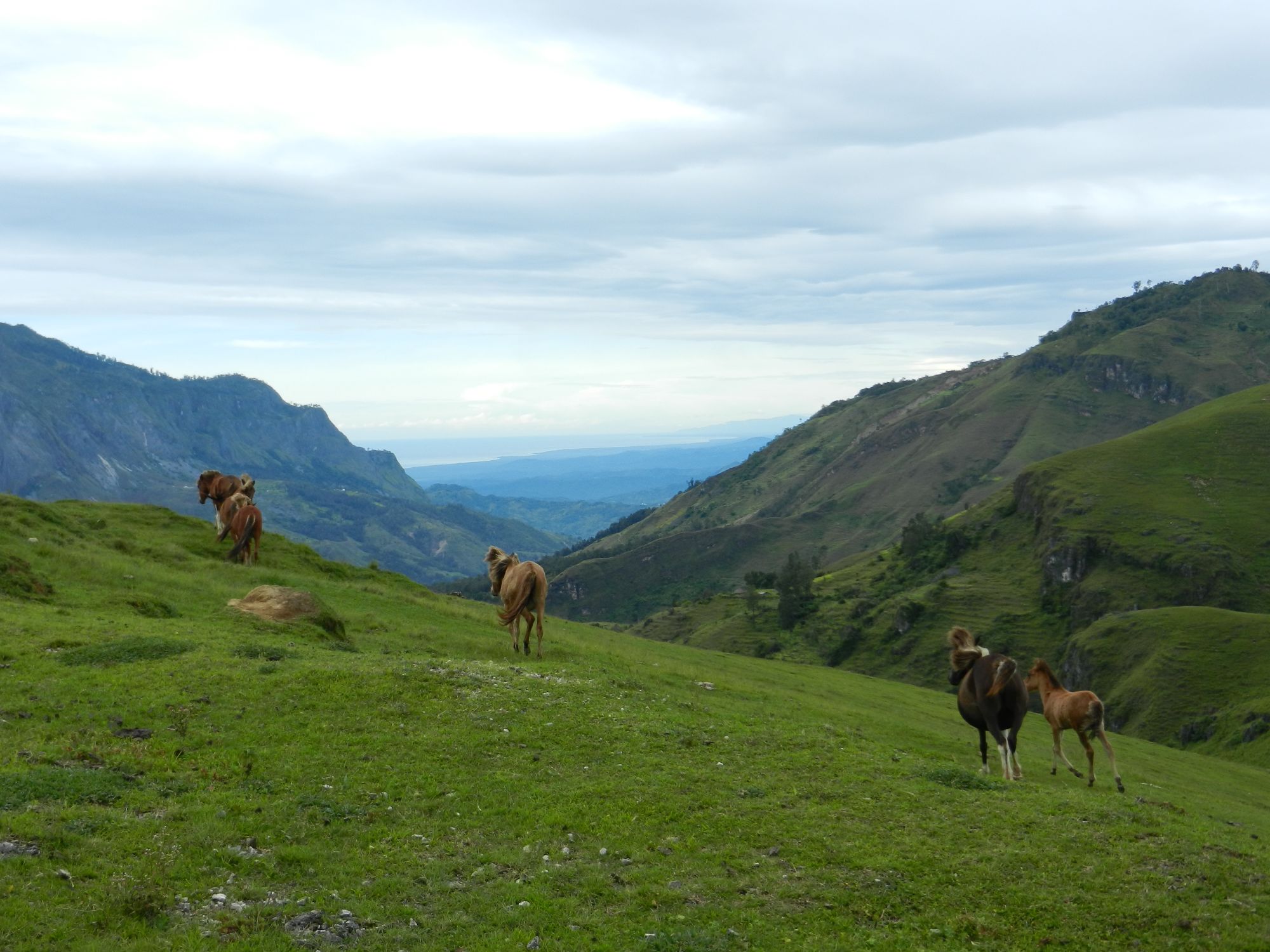 Unbekanntes Paradies Timor-Leste ab Dili: Maubisse: Hilltop view to south coast