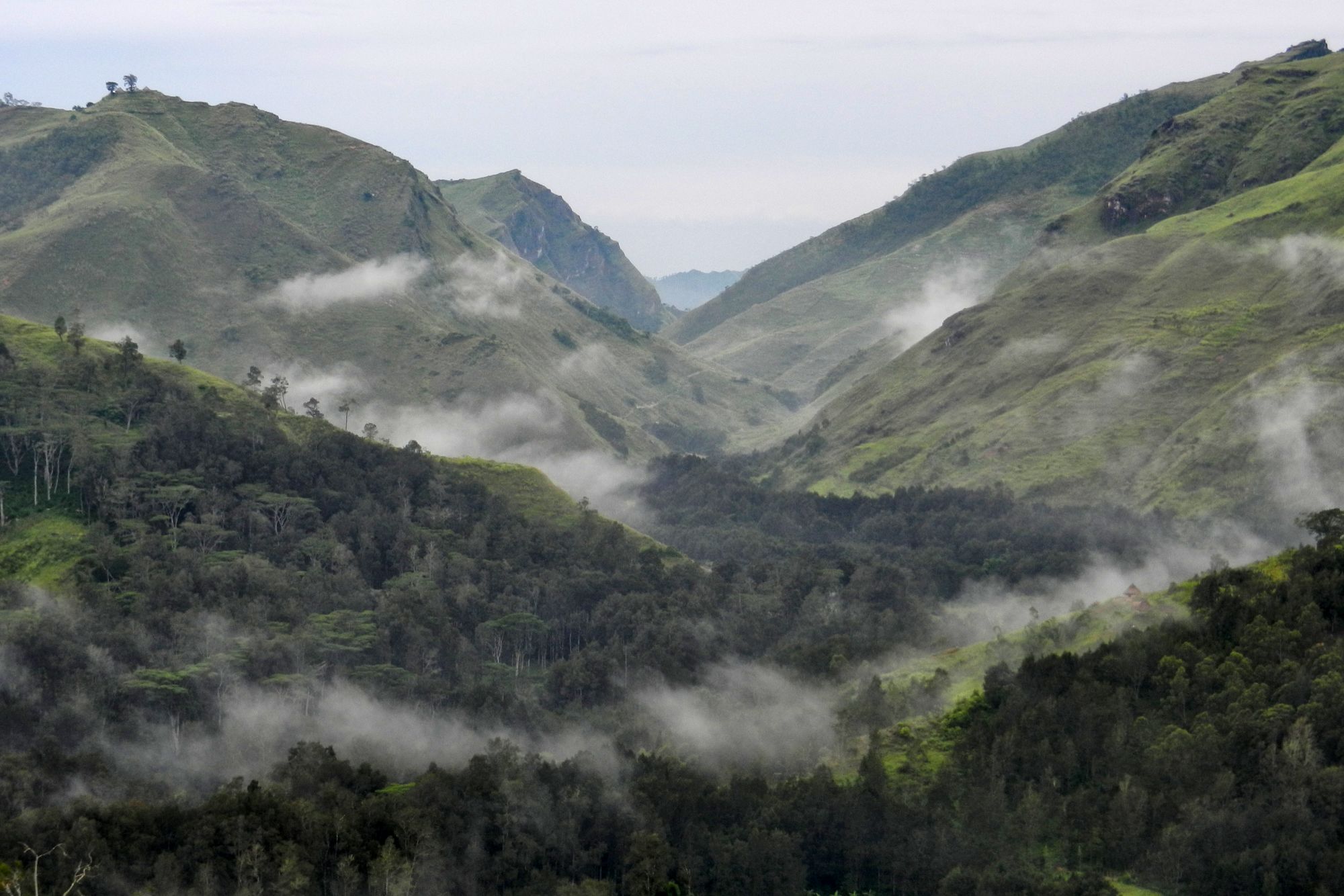 Unbekanntes Paradies Timor-Leste ab Dili: Maubisse, surrounding hills