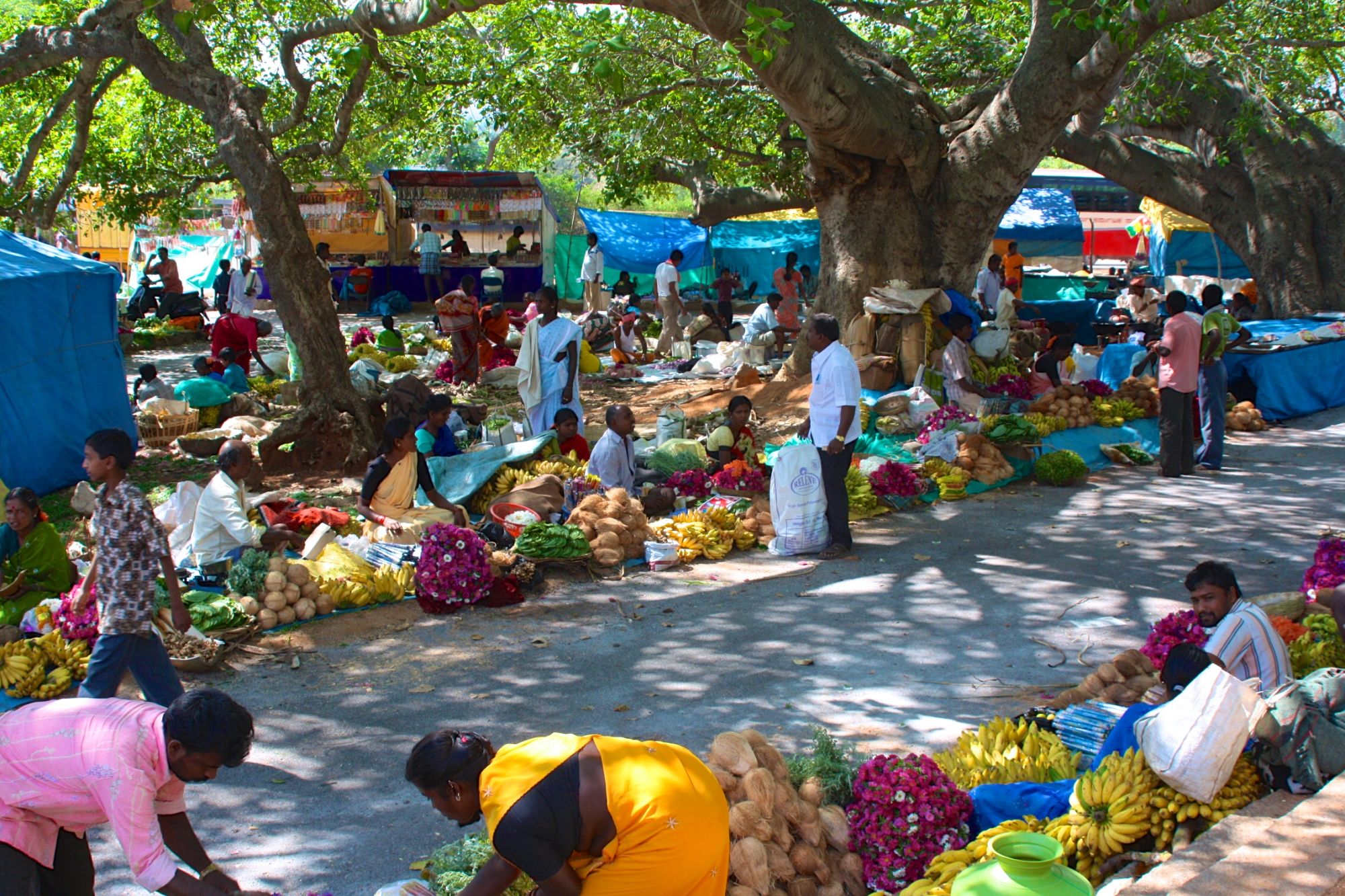 Vielfältiges Südindien ab Kochi: Bangalore: local market