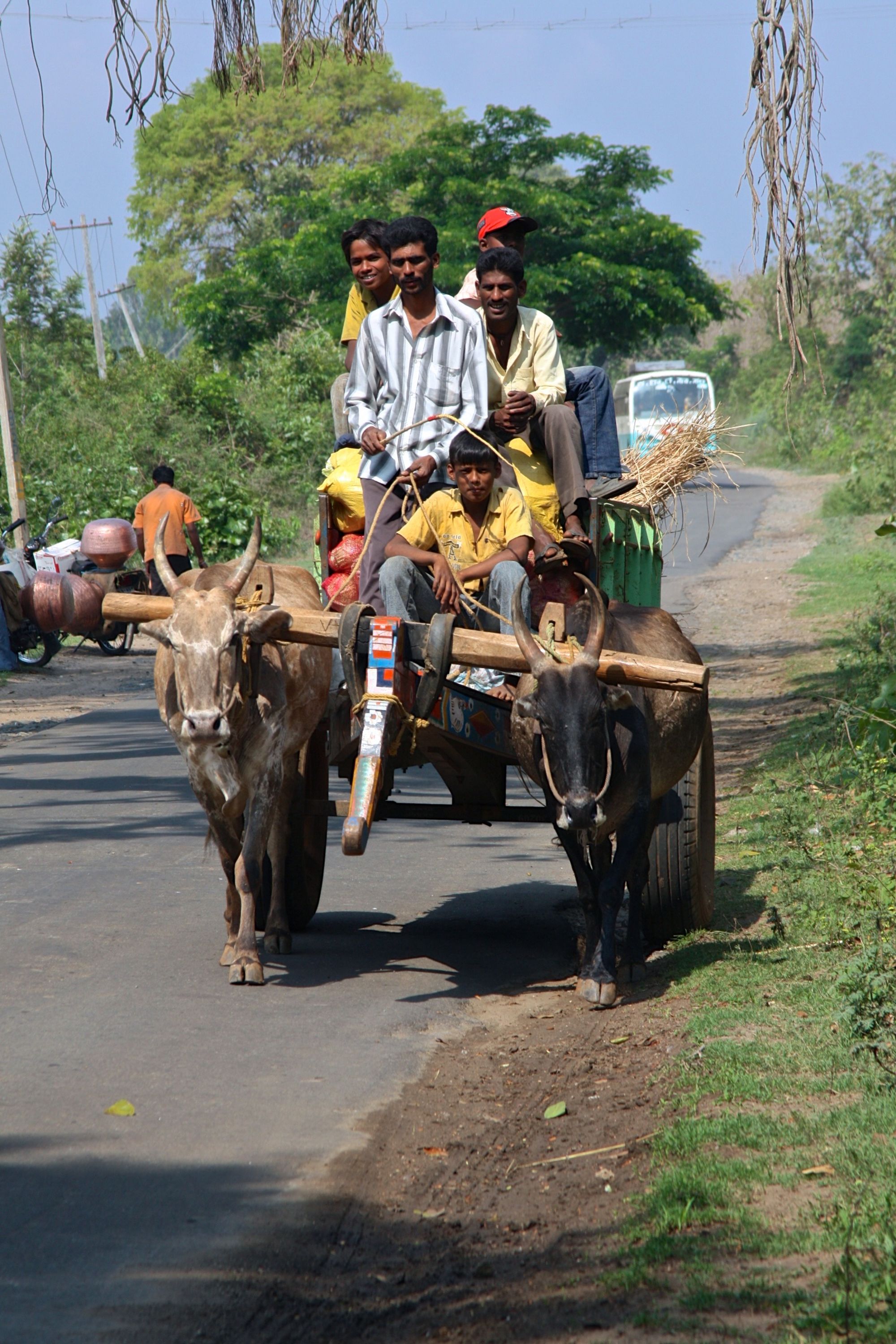 Vielfältiges Südindien ab Kochi: Karnataka: farmers on the road