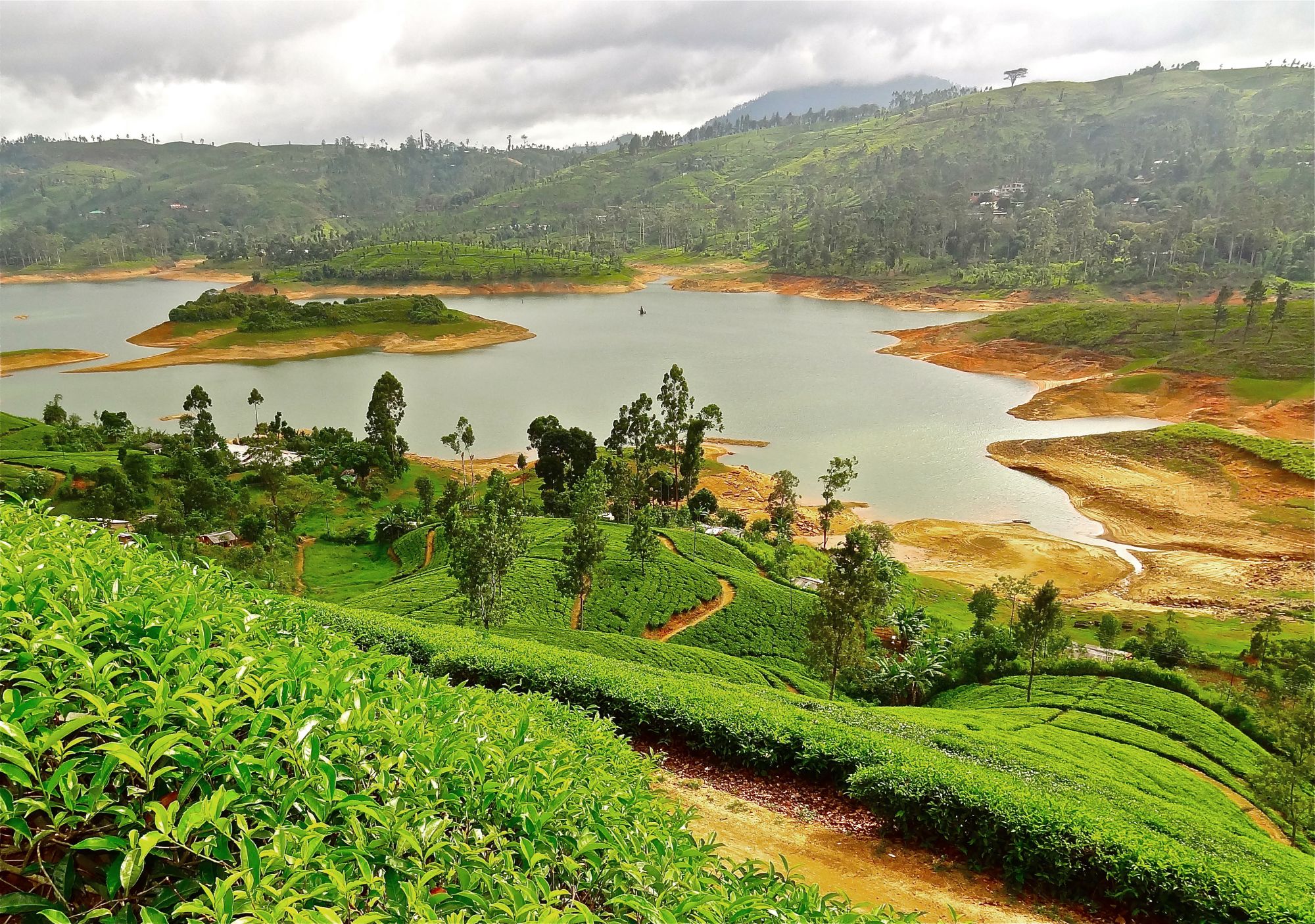 Sri Lanka compact de Colombo: Nuwara Eliya: Train ride