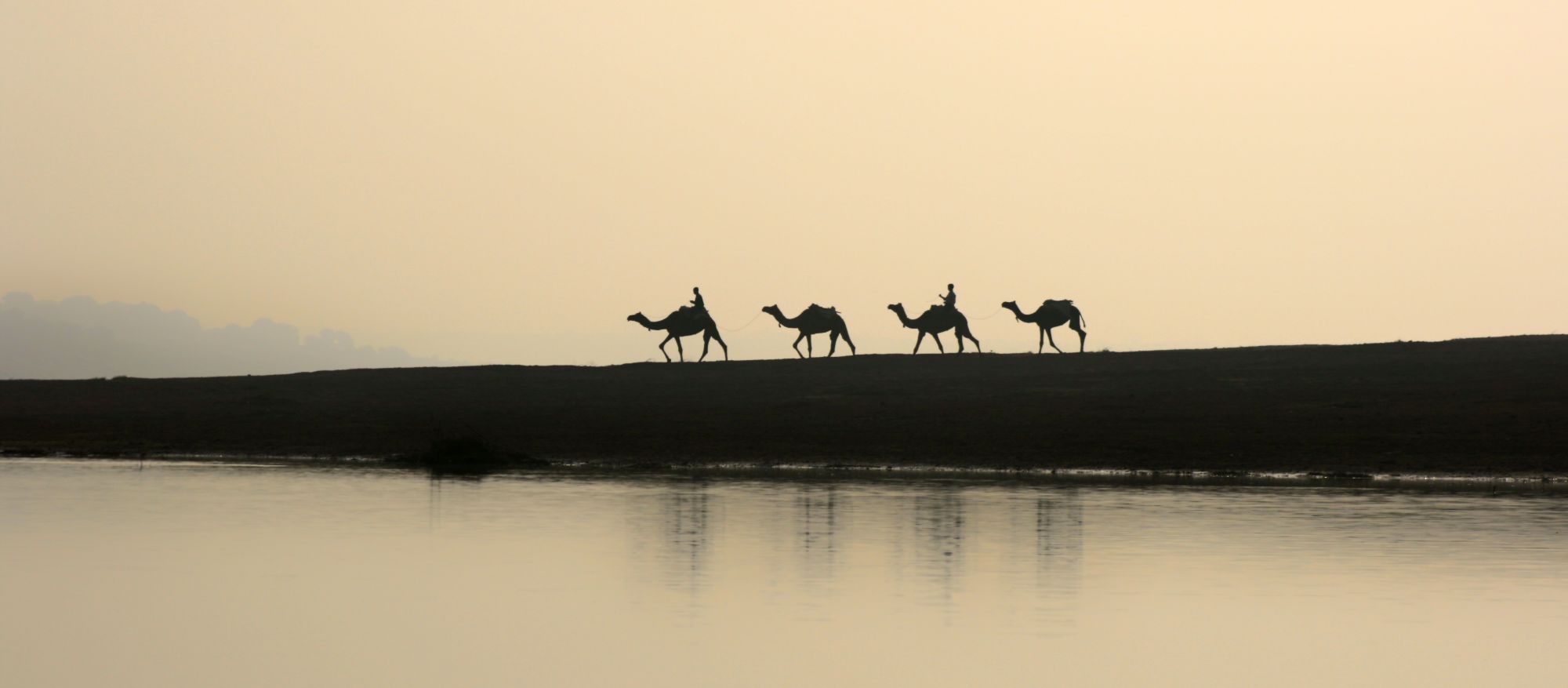 Mela Kothi - Chambal Safari Lodge de Agra: Chambal Sanctuary: Camel Safari