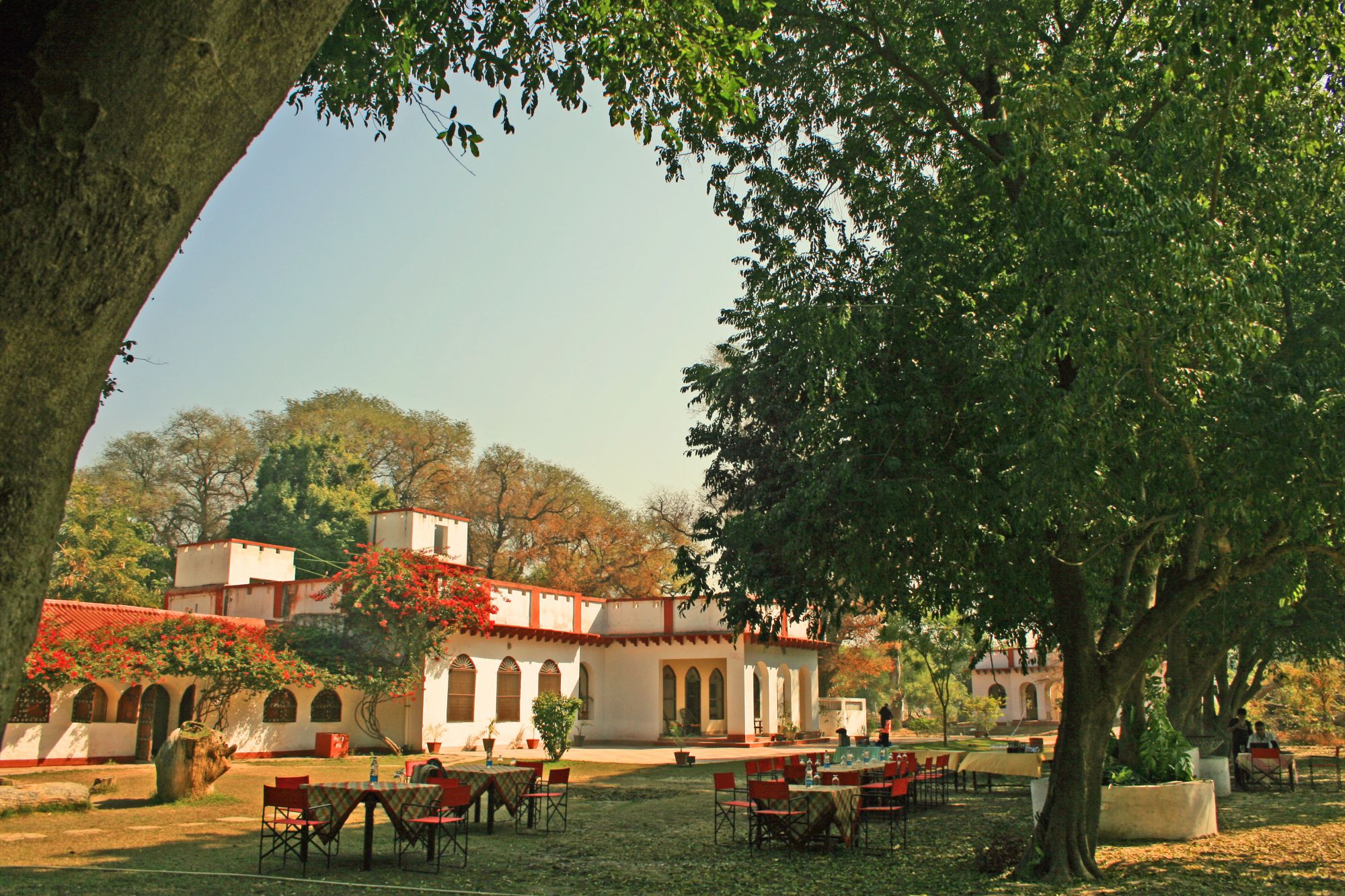 Mela Kothi - Chambal Safari Lodge de Agra: Mela Kothi - Chambal Safari Lodge: garden