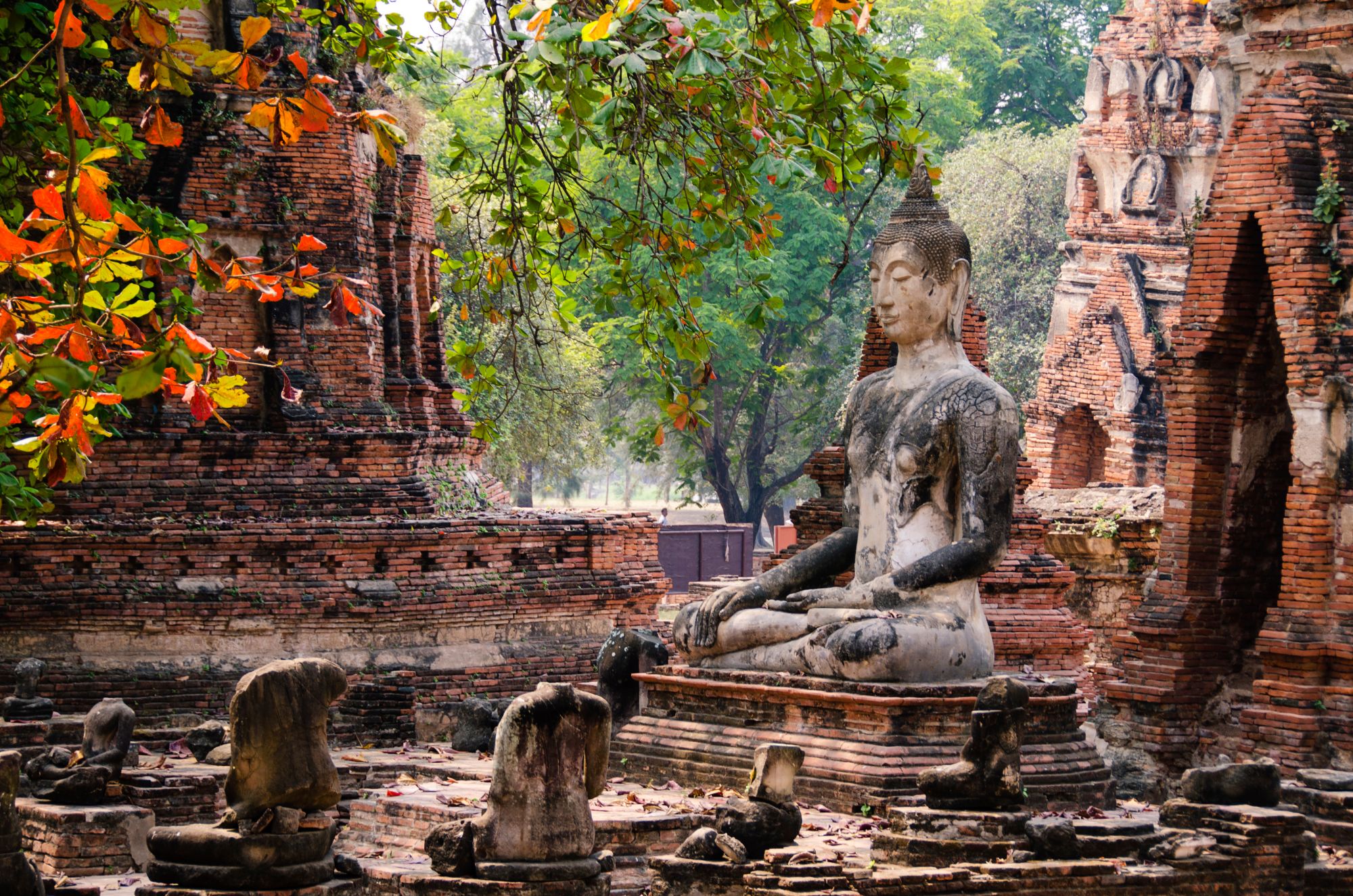 Natur & Kultur rund um Bangkok: Ayutthaya ruins